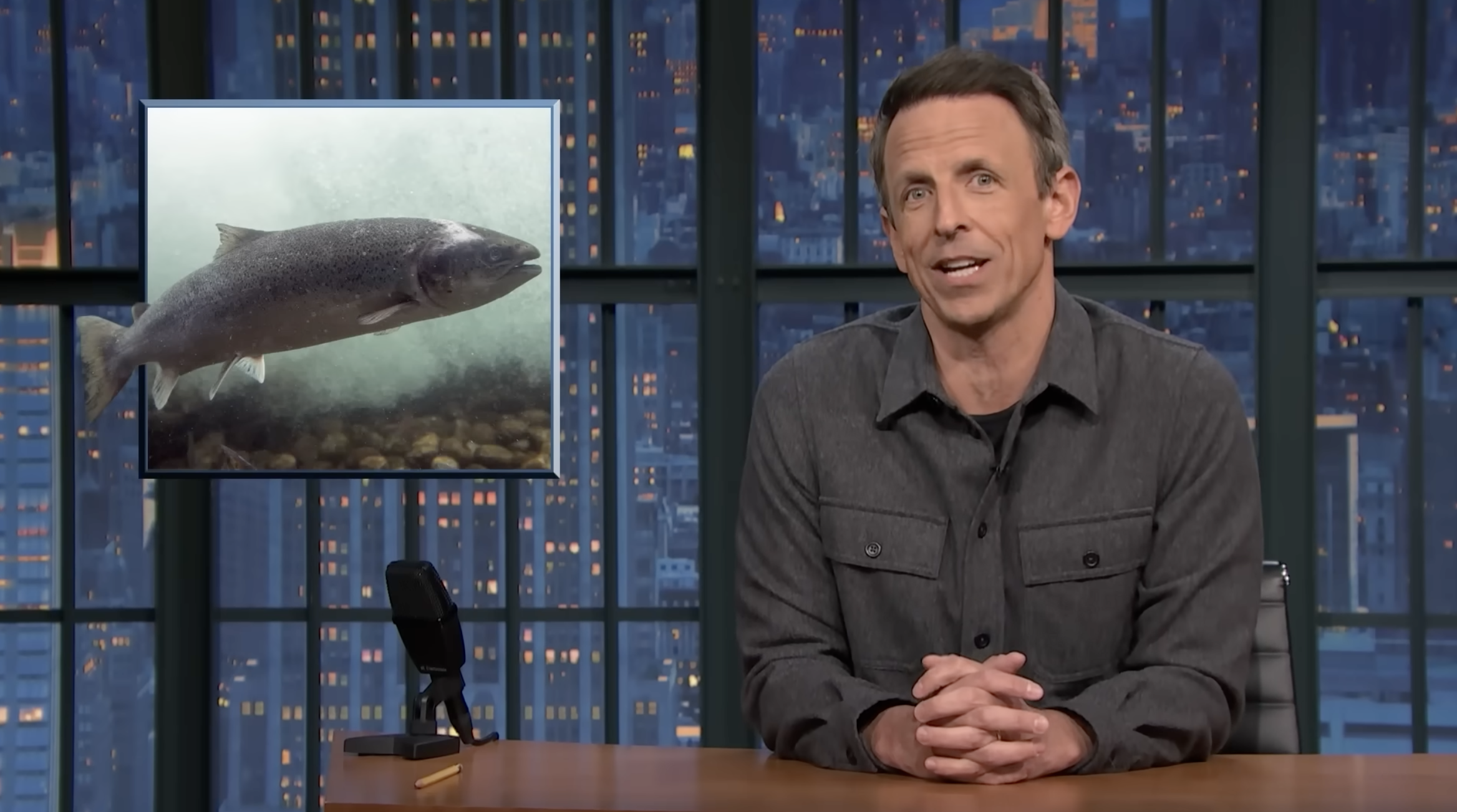  Salmon exposed to cocaine in the water can swim longer distances Seth Meyers mentions our study in Current Biology showing impacts of cocaine pollution on salmon populations (Brand et al. 2026). Coverage starts at 11:20.