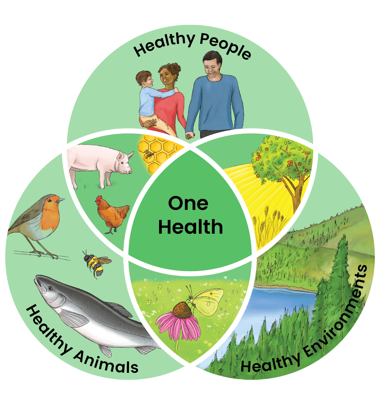 One Health mini-review in Current Biology — Dr Michael Bertram