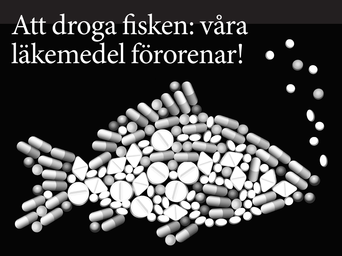 New article in Qvintensen magazine
