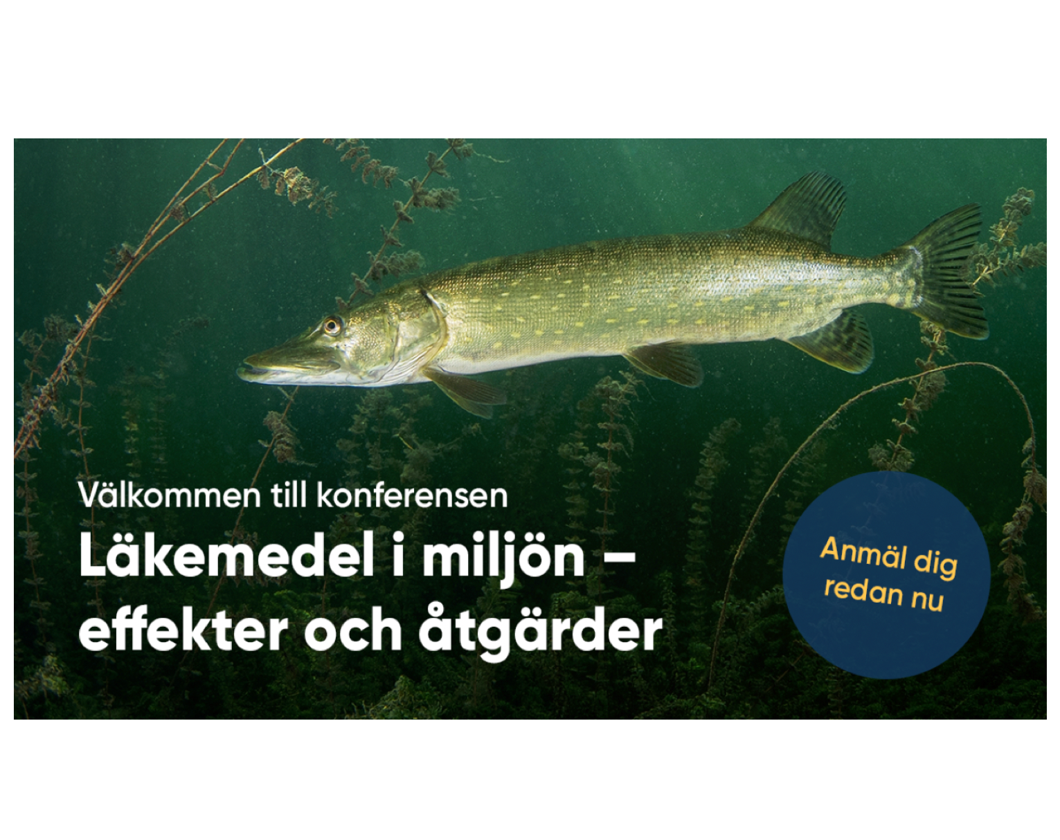 Upcoming Swedish Medical Products Agency seminar