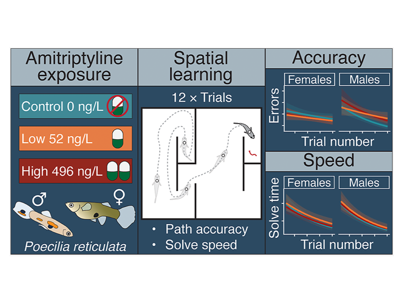 New spatial cognition paper in ES&amp;T
