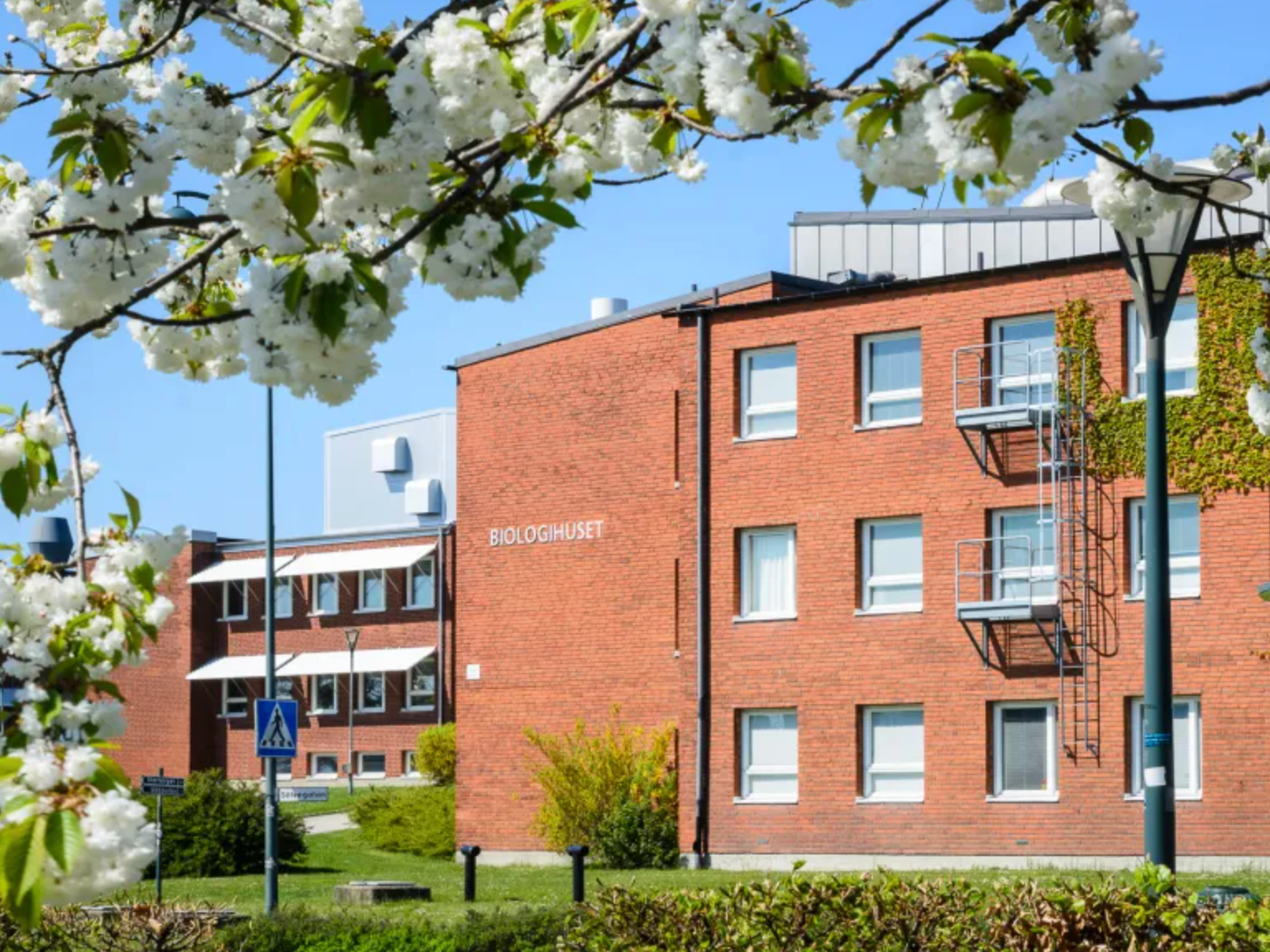 Plenary at the Biology in Lund Conference