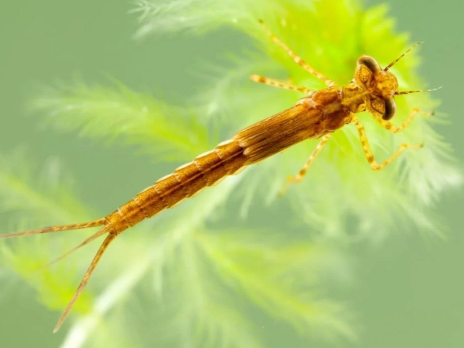 New preprint published: Bugs on drugs