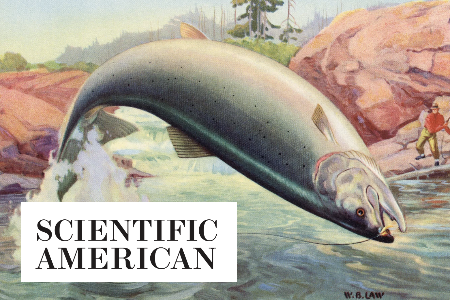  Here’s what happens when you give salmon cocaine Article by Scientific American on our study in Current Biology showing impacts of cocaine pollution on salmon populations (Brand et al. 2026).