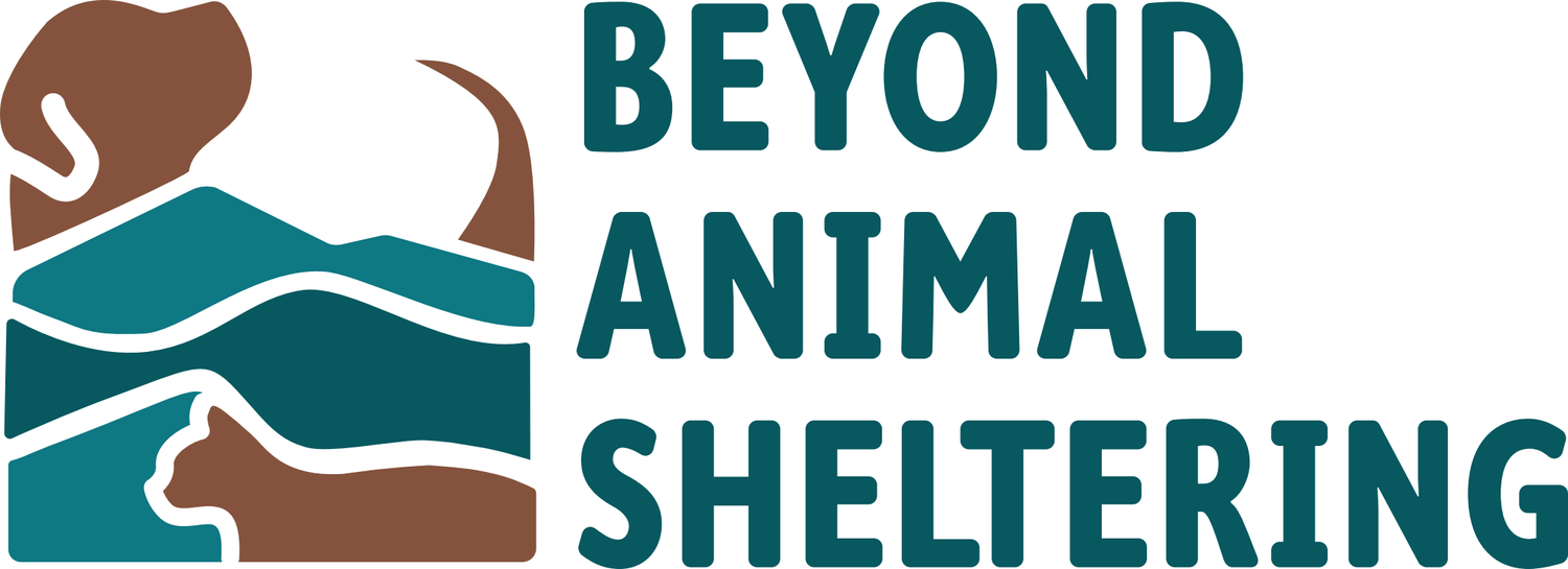 Beyond Animal Sheltering