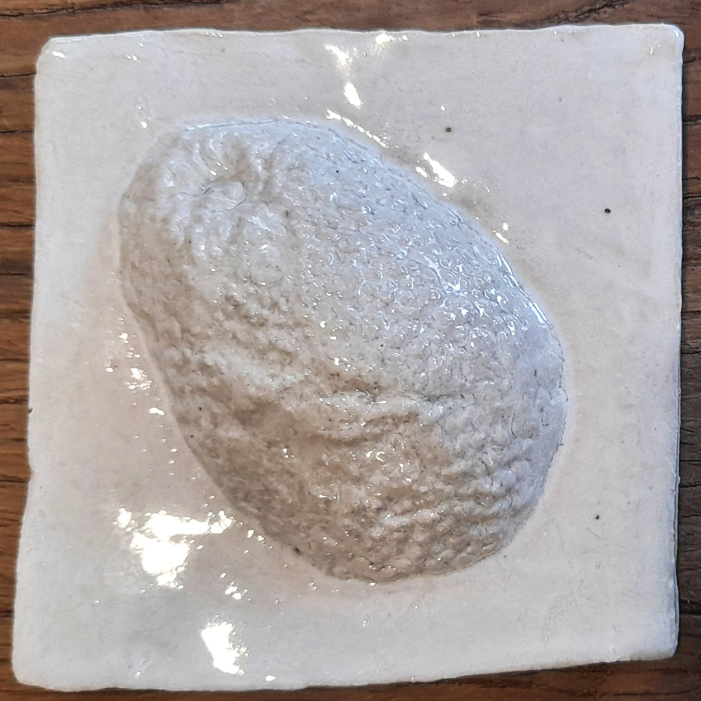 avocado.jpg