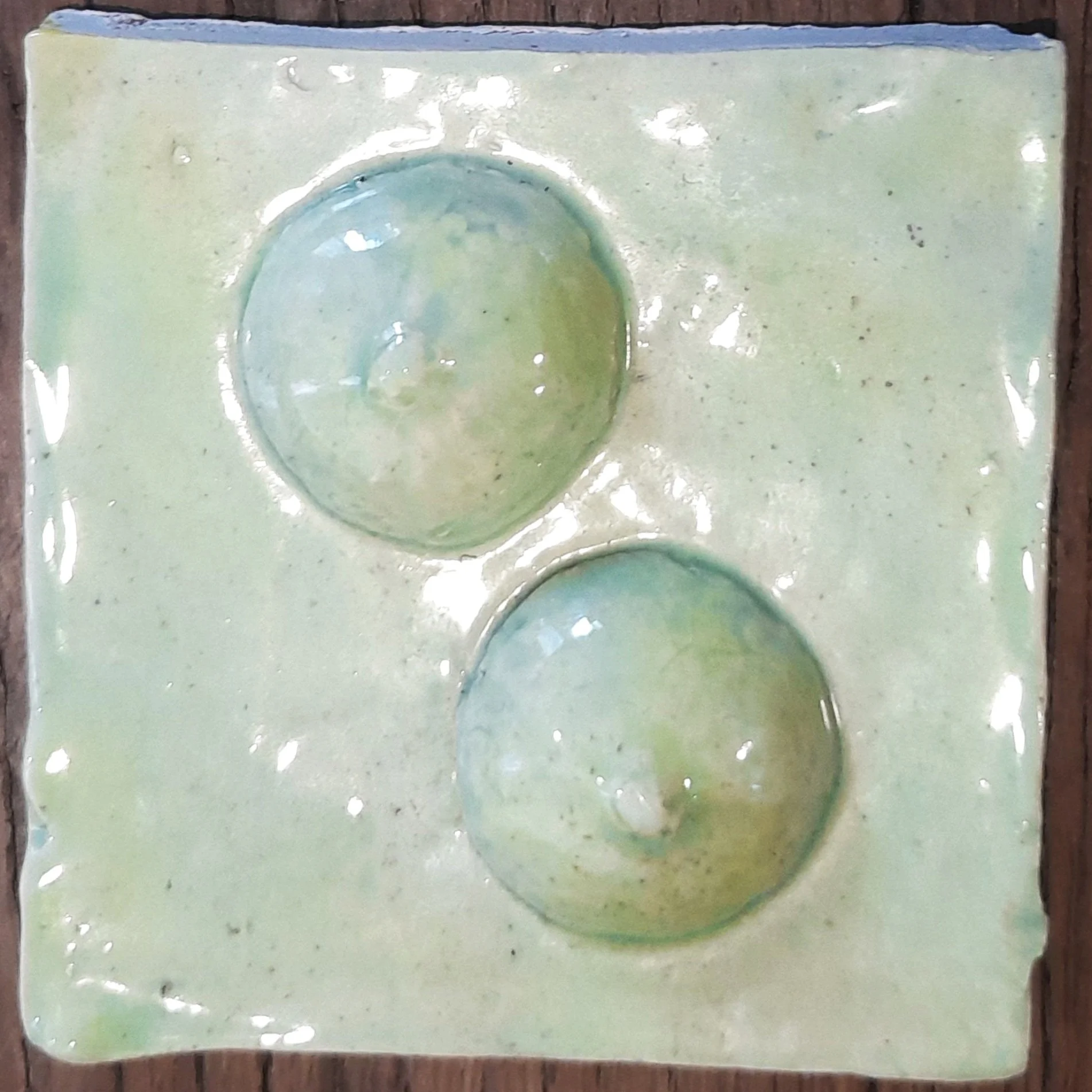 lime limes.jpg