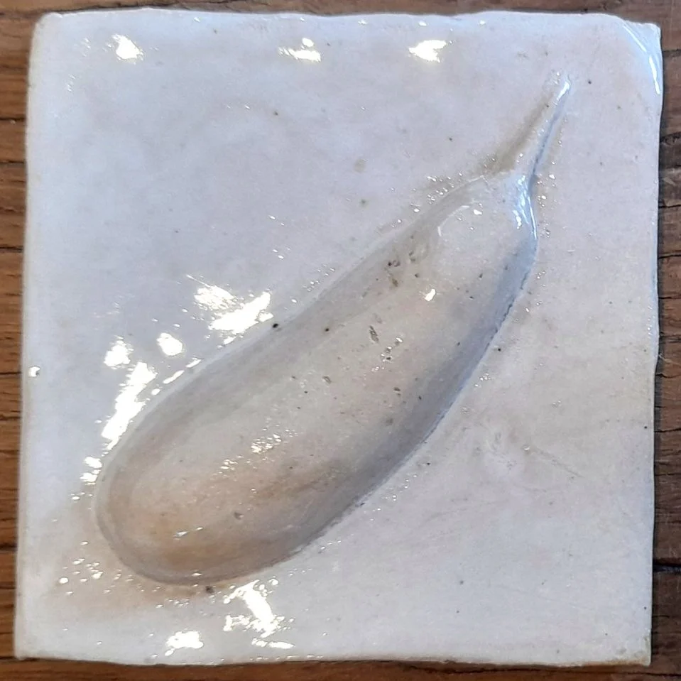 aubergine white.jpg