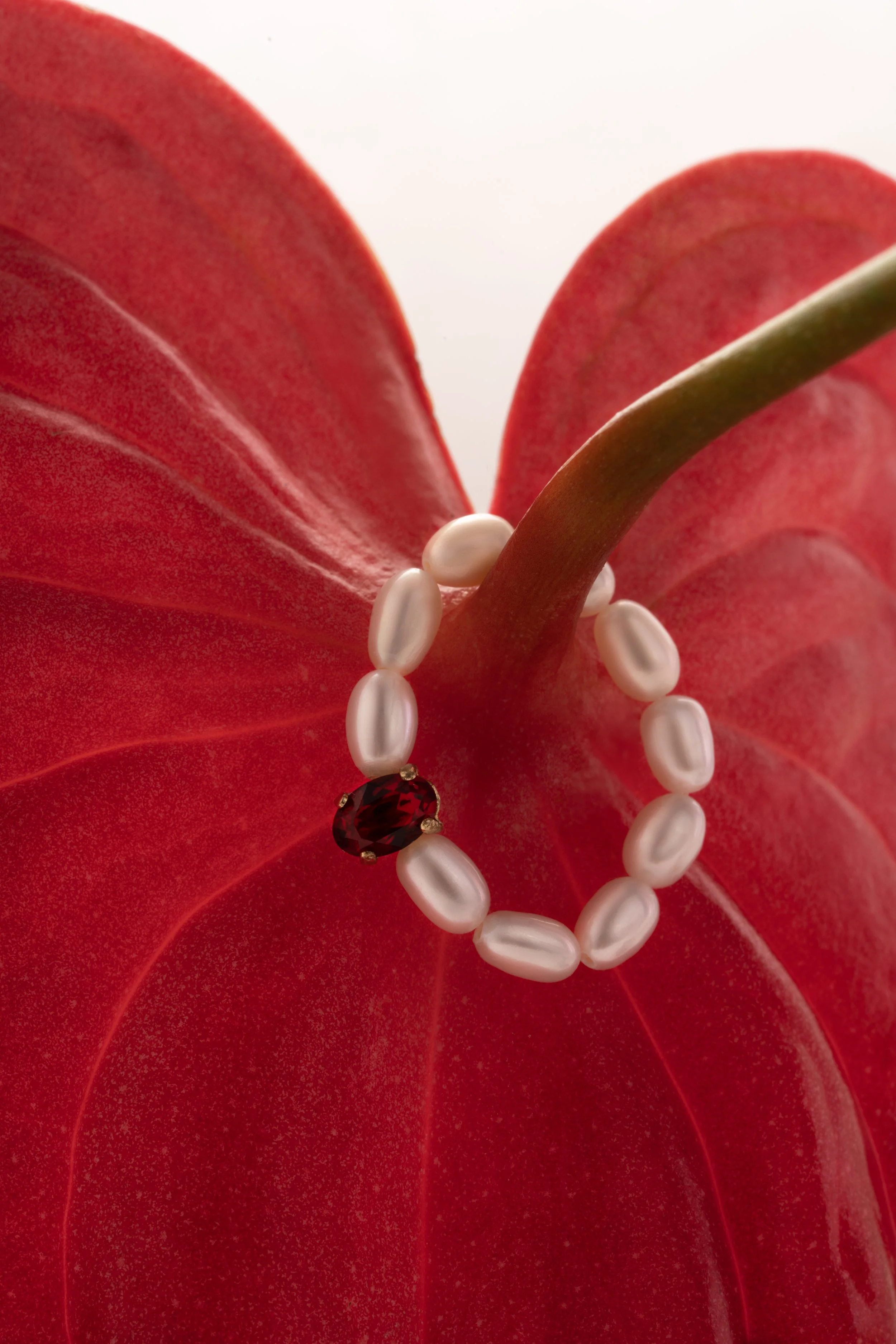 TILARY 29.05.257069 copy.jpg