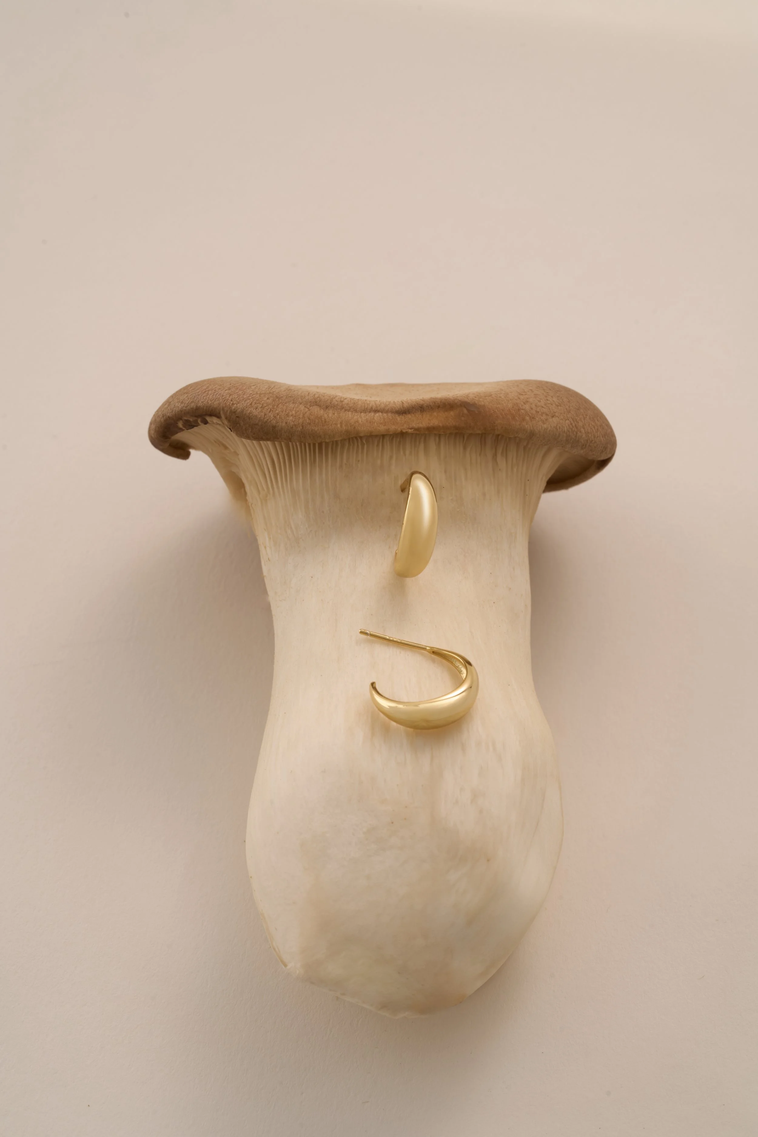 TILARY 29.05.257304.jpg