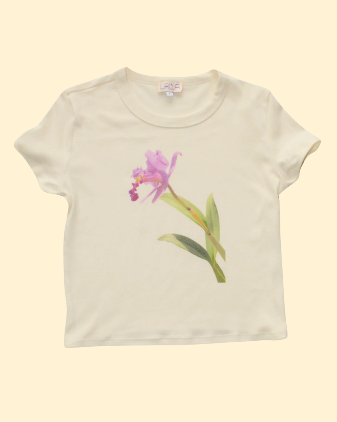 Untitled (Instagram Post (45)).png