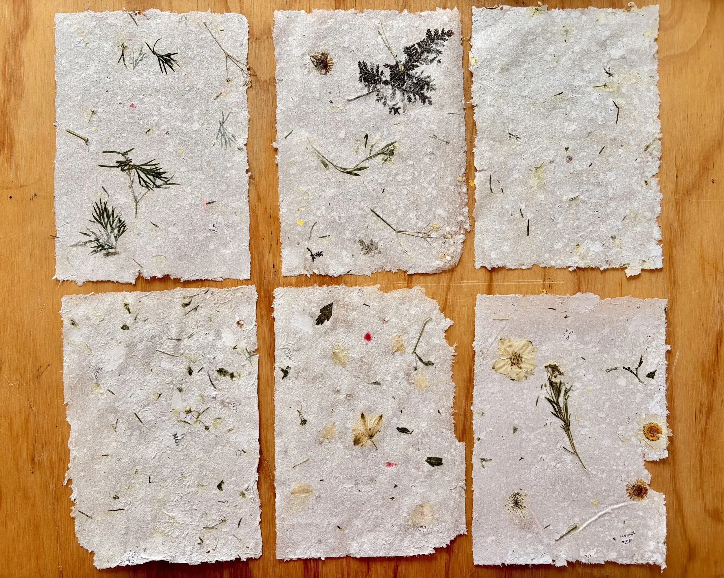 Recycle to Bloom: Papermaking