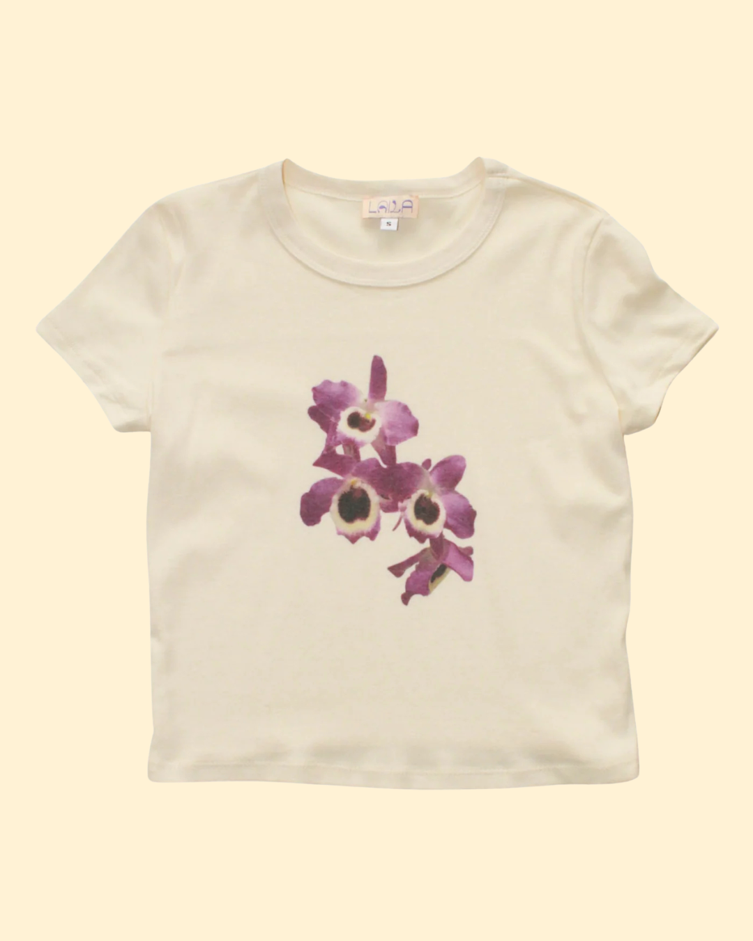 Untitled (Instagram Post (45)).png