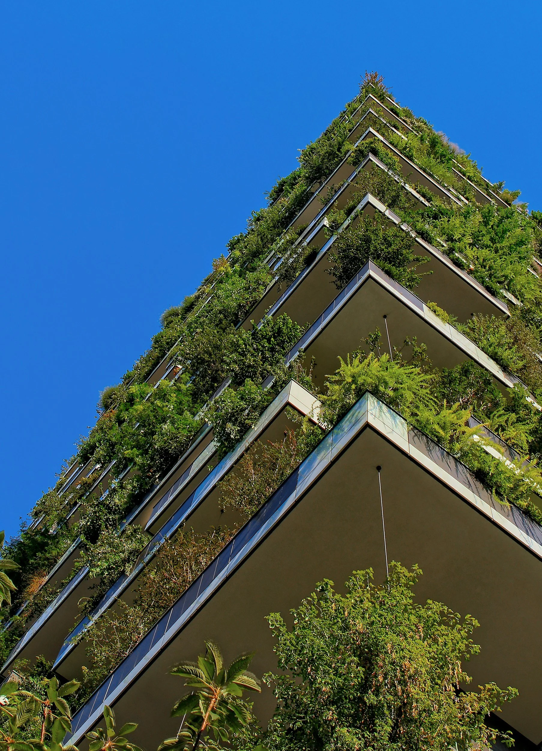A modern multi-story building with balconies covered in lush greenery and plants, set against a clear blue sky.