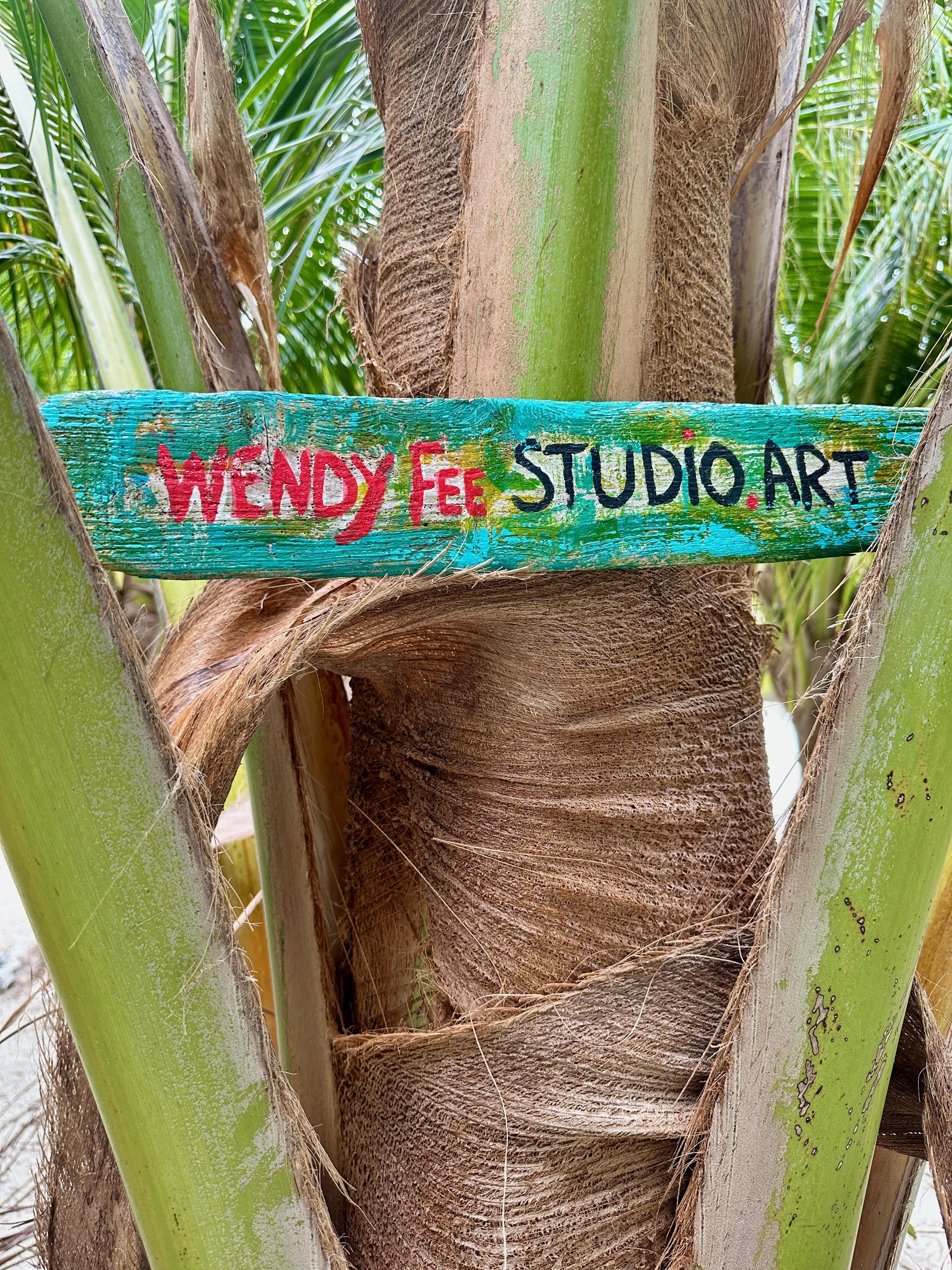WFSA Sign in Palm Tree.jpeg