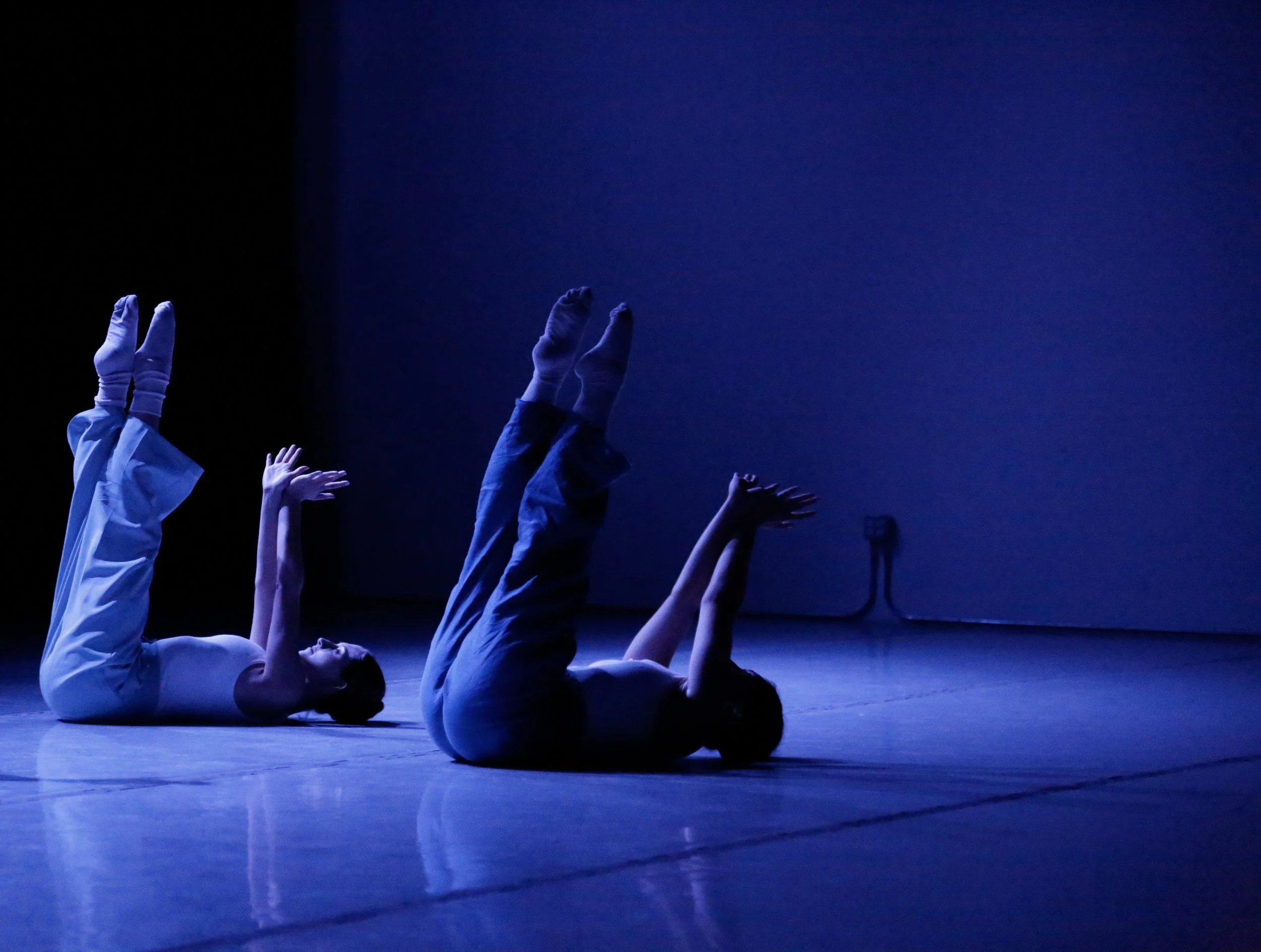 Finding Future at ChoCoLA 2023