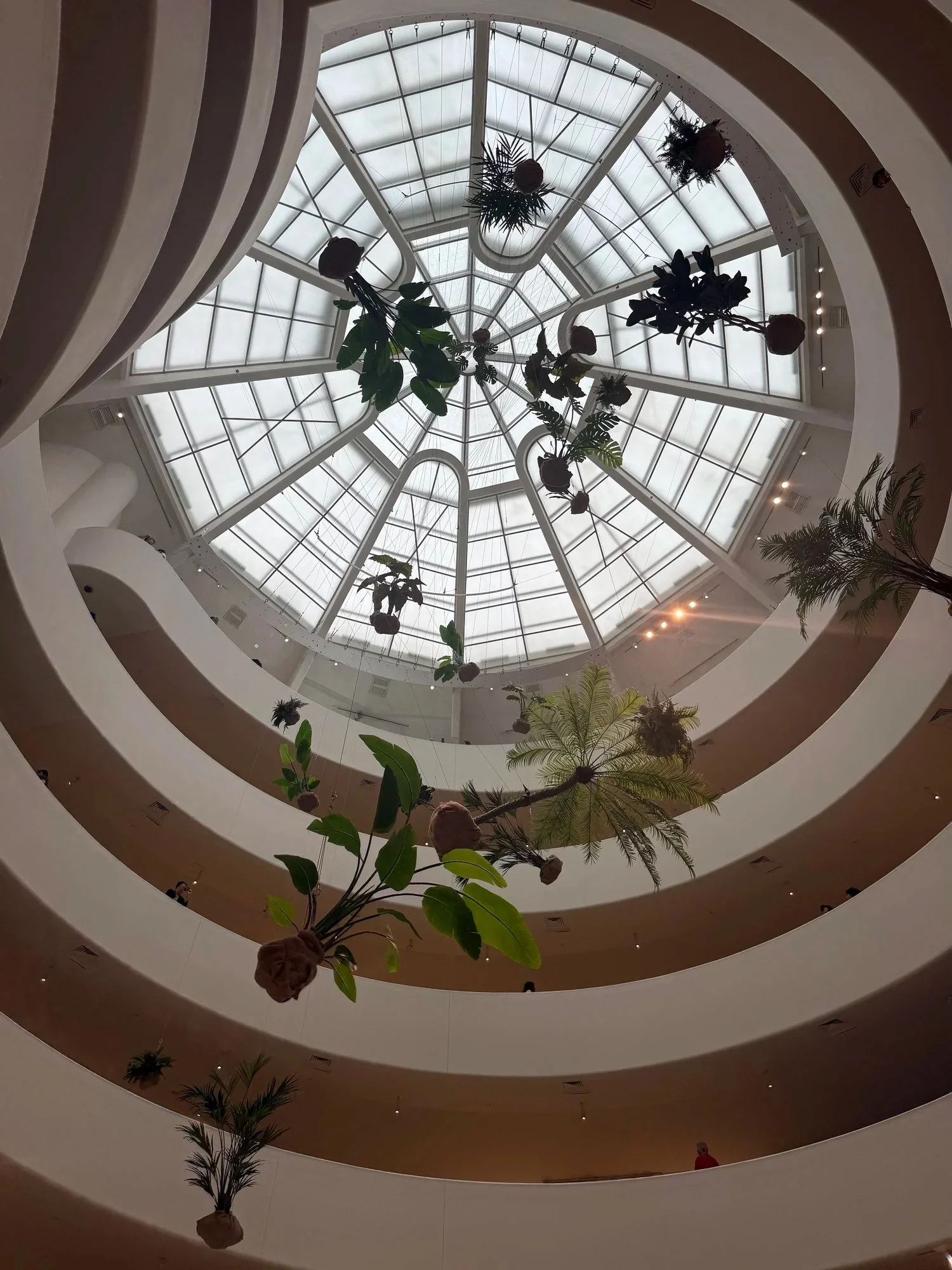 Looking up at a spiral museum rotunda with hanging plants