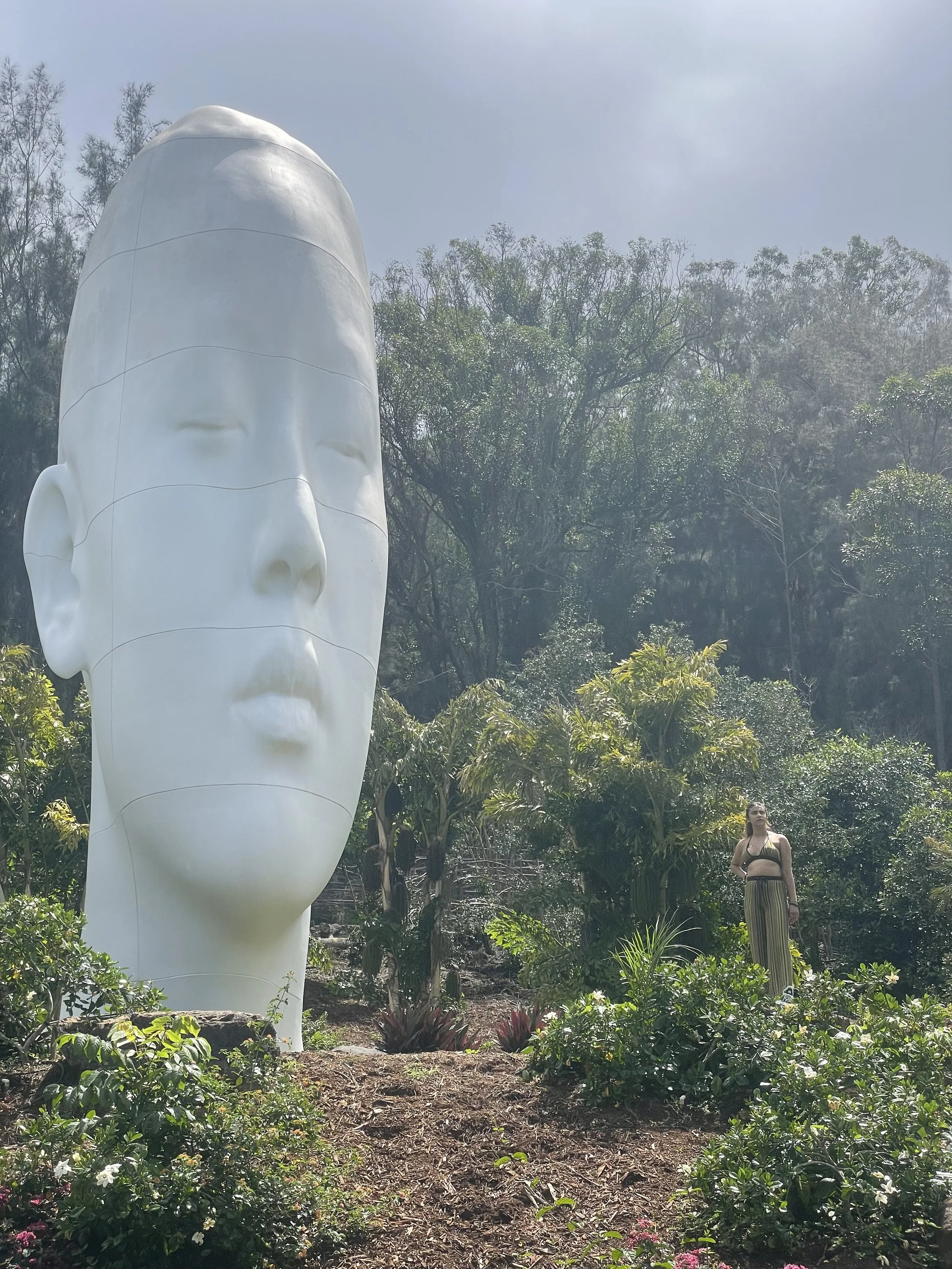 Is Art a Good Investment for Mindful Living Environments?