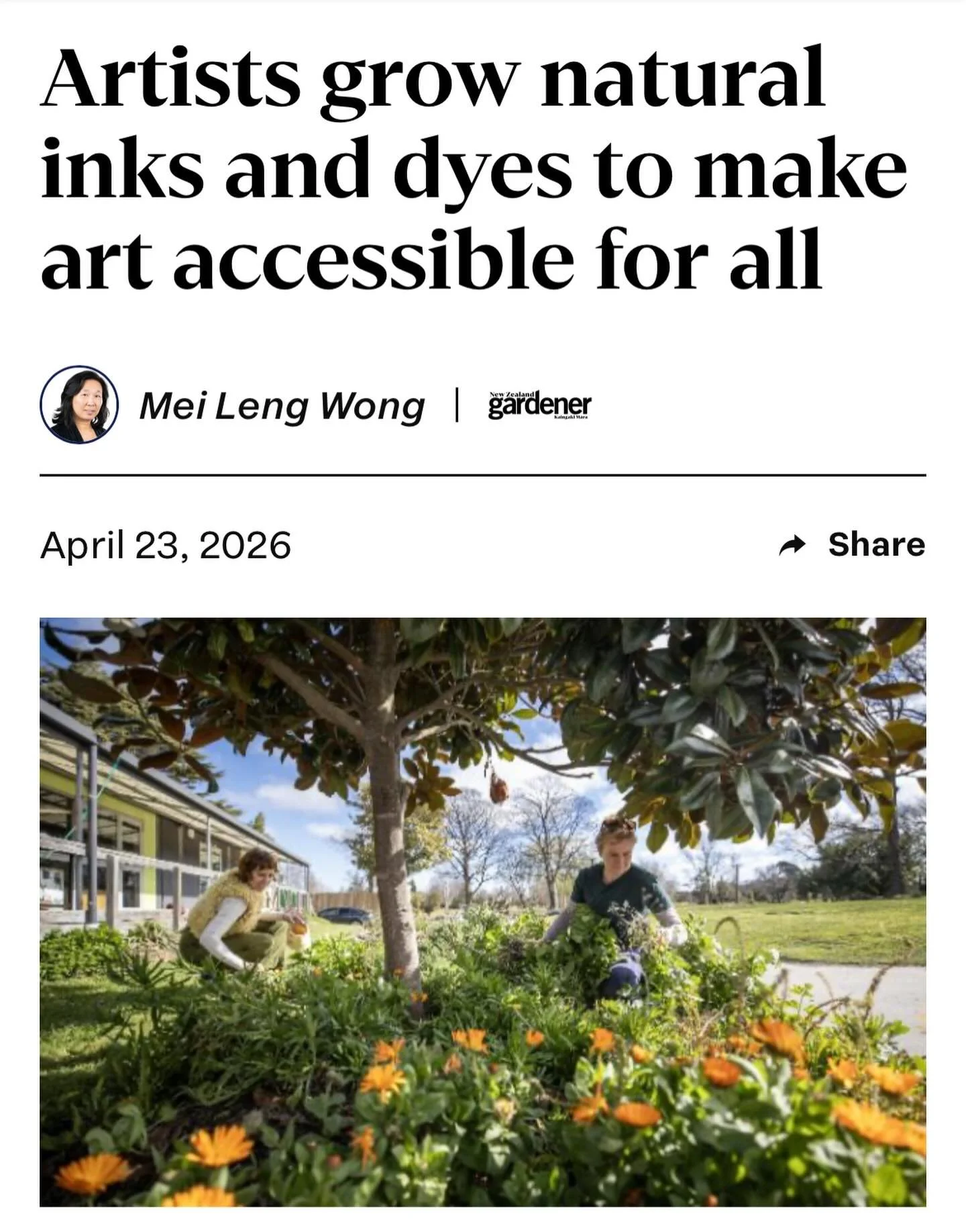 Read all about our flourishing natural dye garden this long weekend 🌱 

A huge thanks to Mei Leng Wong for coming to chat, Blaire and Bridget from @thegreenlabnz have created an incredible sustainable resource for our creative community.

Link in bi