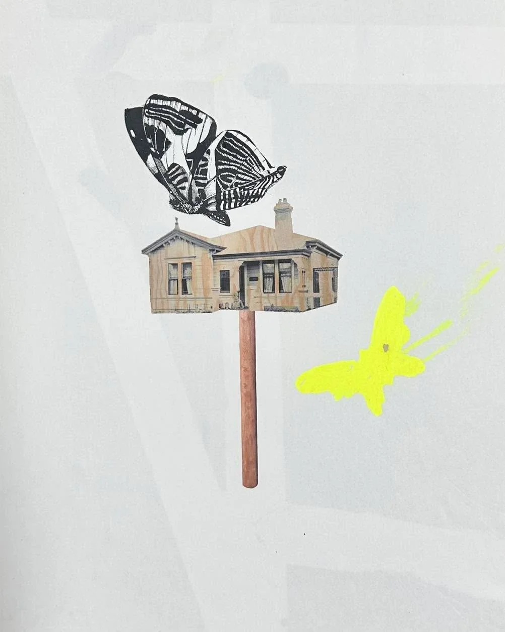 Some rock painting, insect drawings and collages @thecitynaturechallenge