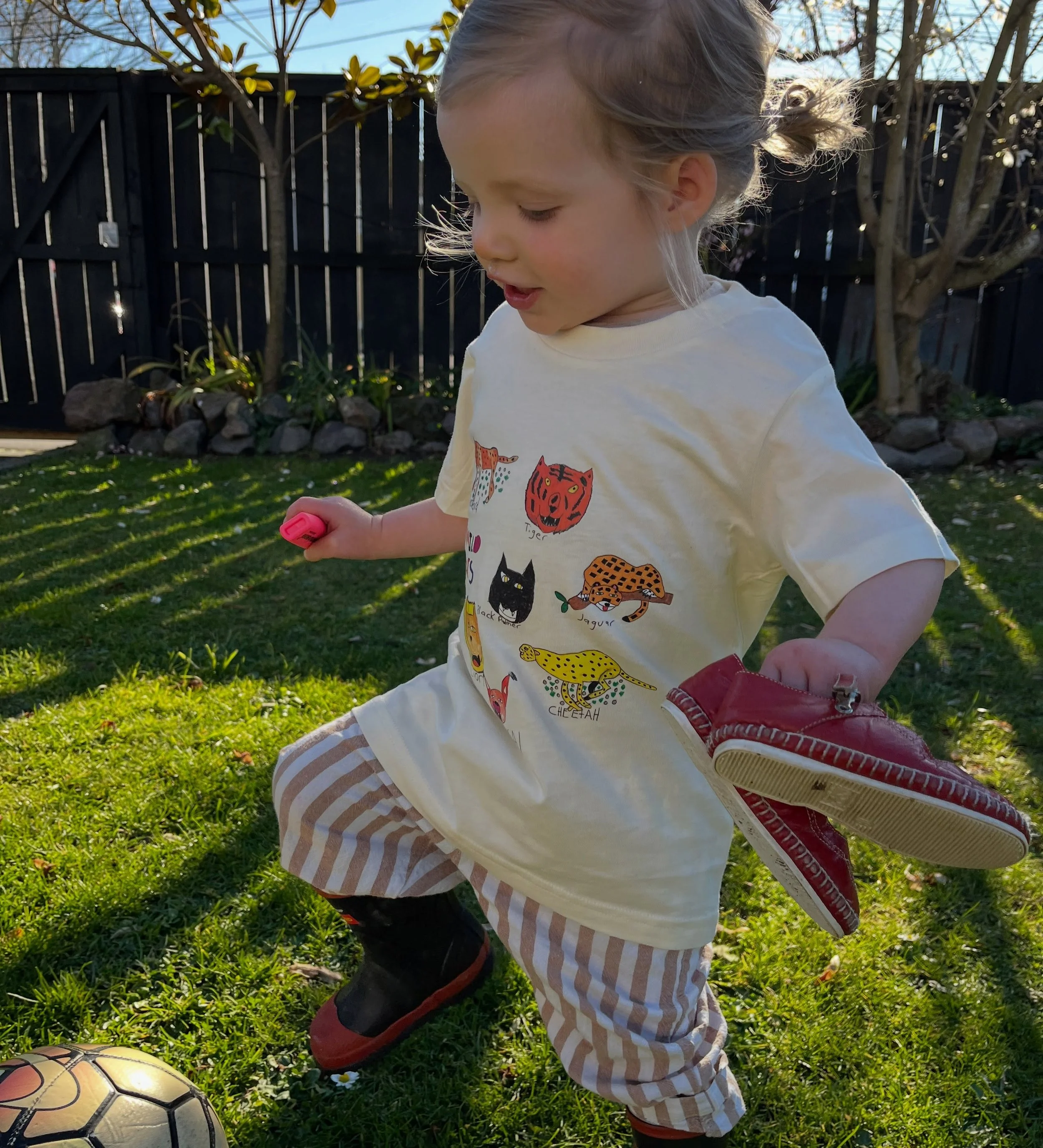 Shaun Gordon&rsquo;s Wild Cats tee has now found a younger audience and it&rsquo;s both educational and very cute. 

T-shirts, cups, notebooks are now available on our online store alongside original artworks with new pieces added weekly. We are real