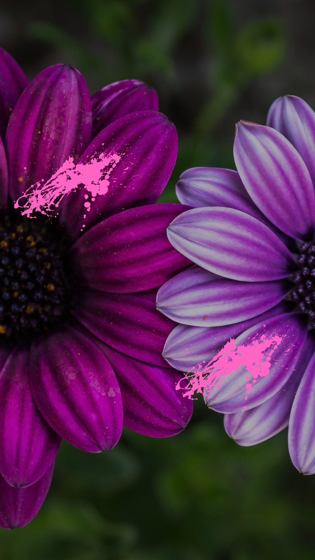 The Seed Sowing – Sparking the Flame