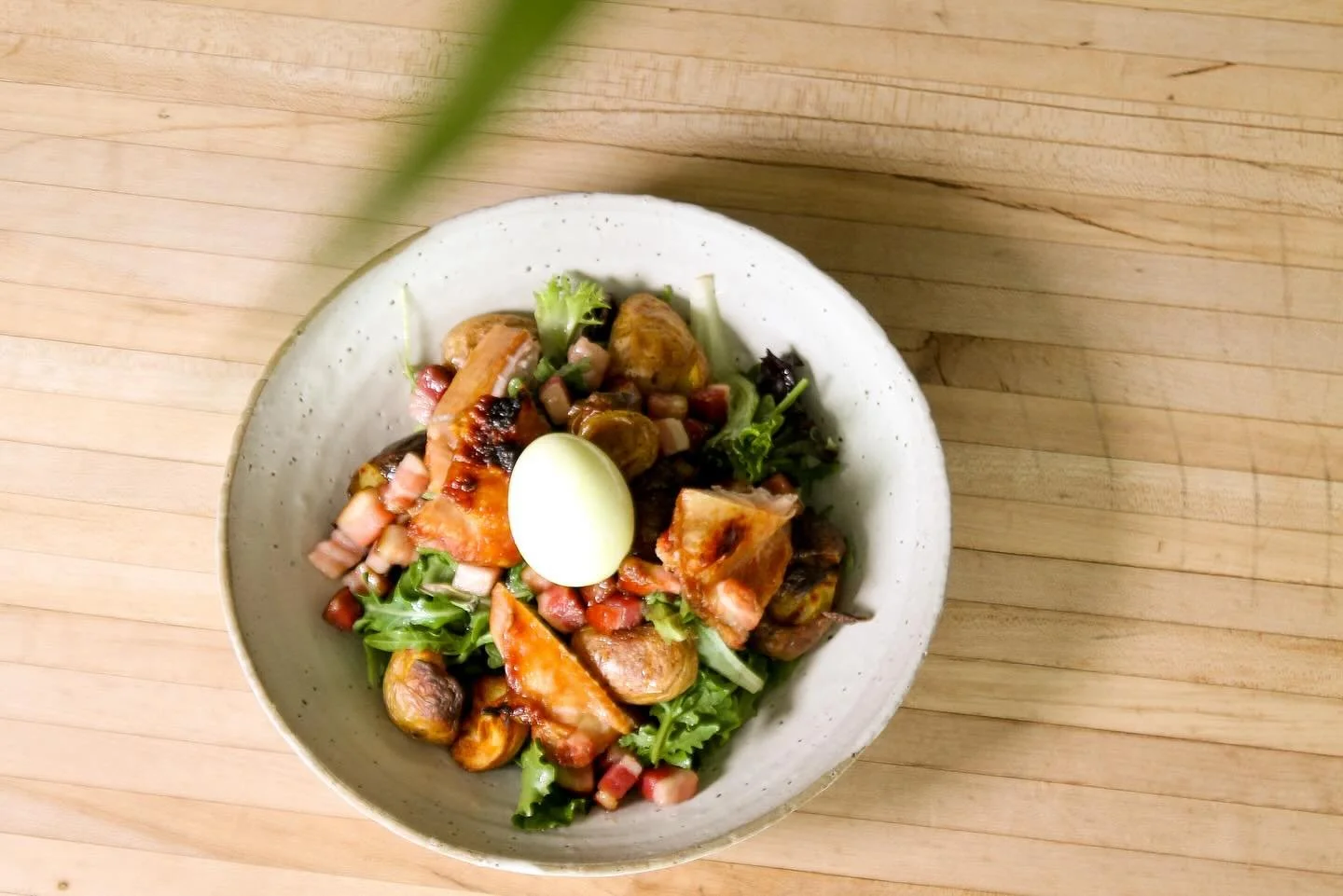 The Story Of @chef_tony_tipping PART TWO 

He worked at Three Boars for a couple of months and then for a while at the amazing @enjoycentrestalbert at the Glasshouse restaurant helping out friends. 

Tony got the head chef position for Woodwork and C