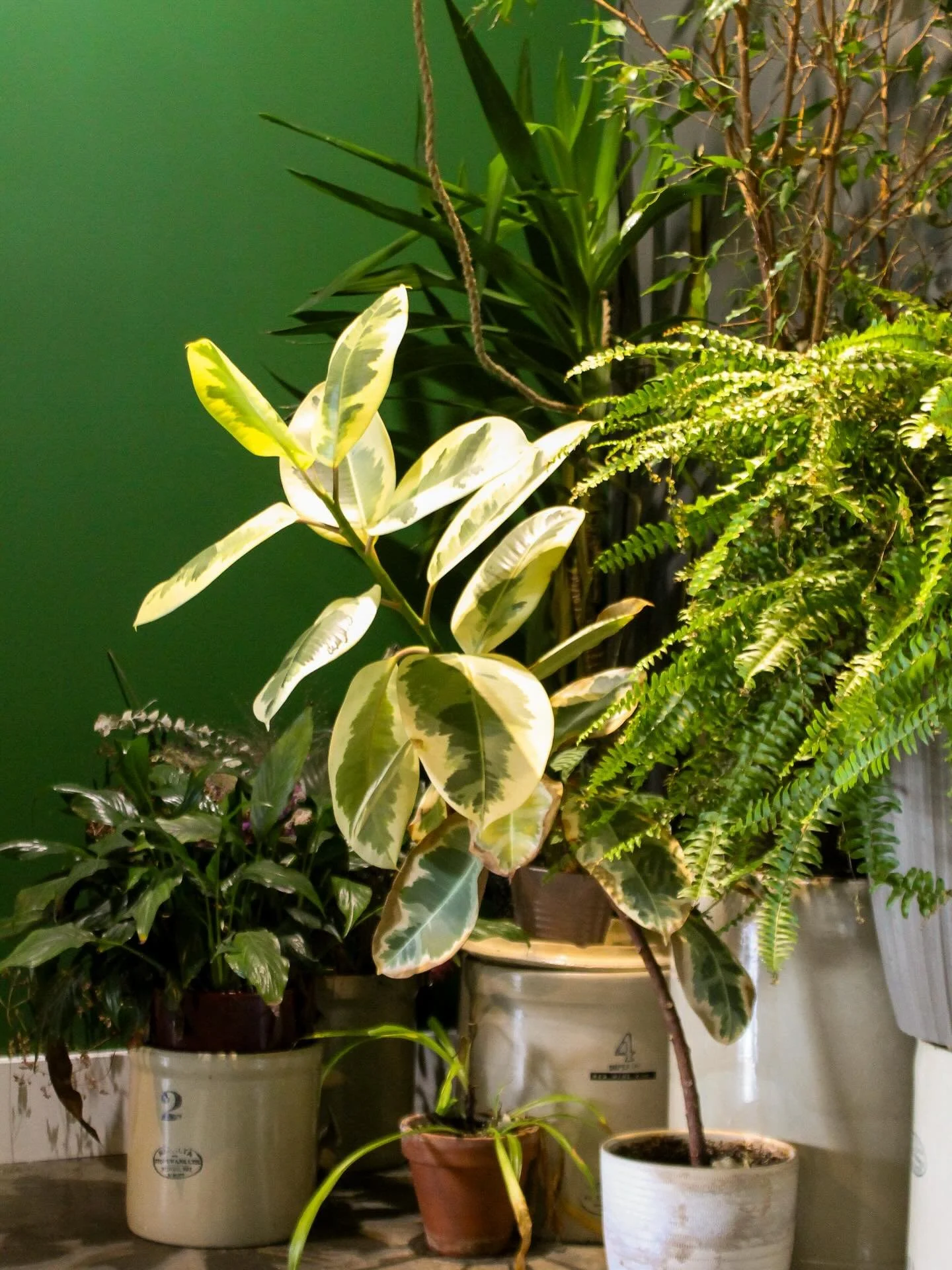 Chelsea&rsquo;s Restaurant Journey Part Three

Once I found out I was pregnant with the sweetest boy I worked different jobs within the Passionate Hospitality company. I was FOH manager at the Sherwood Park Curling Club (@shpkcurlingclub ). I worked 