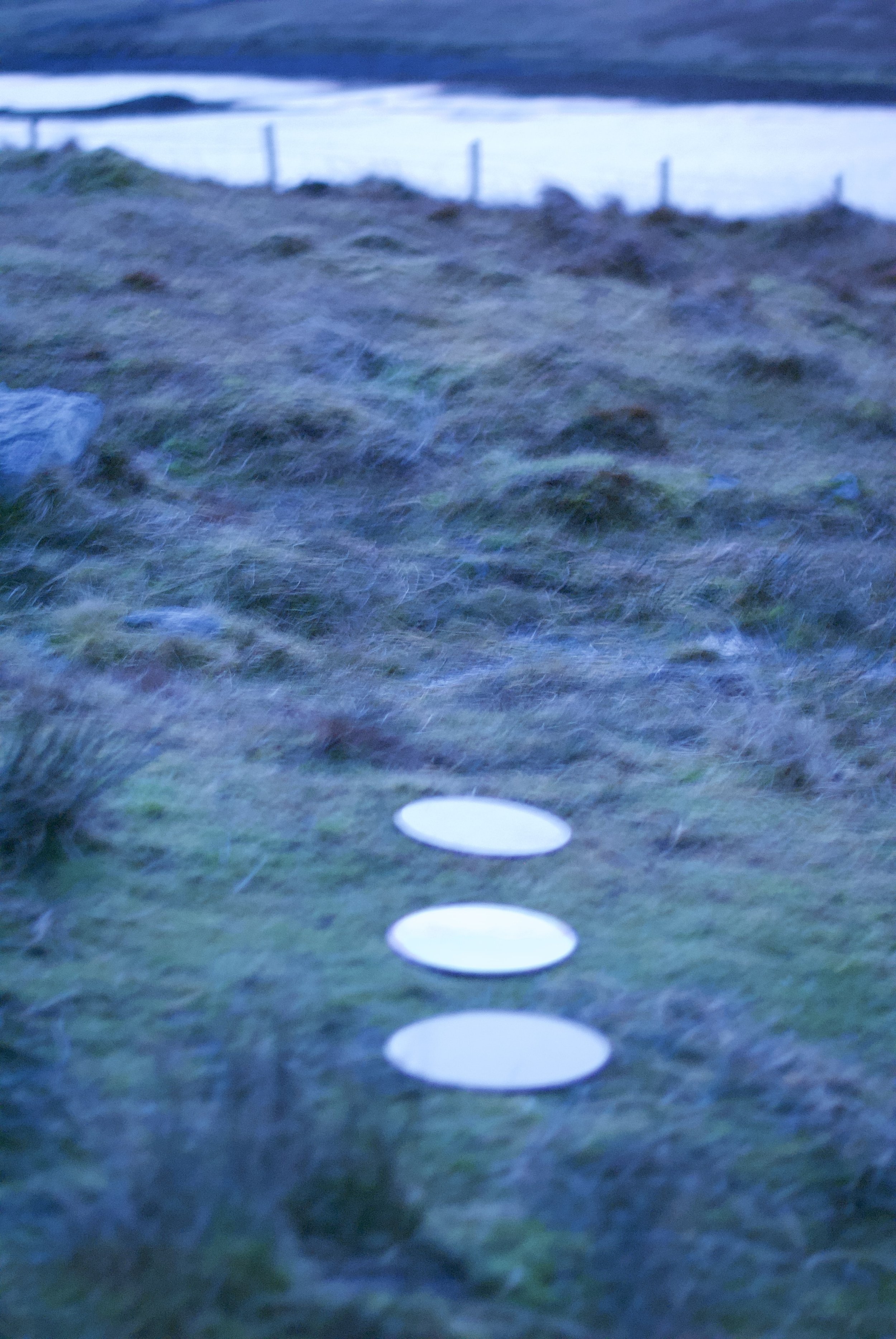 _DSC0066.jpeg