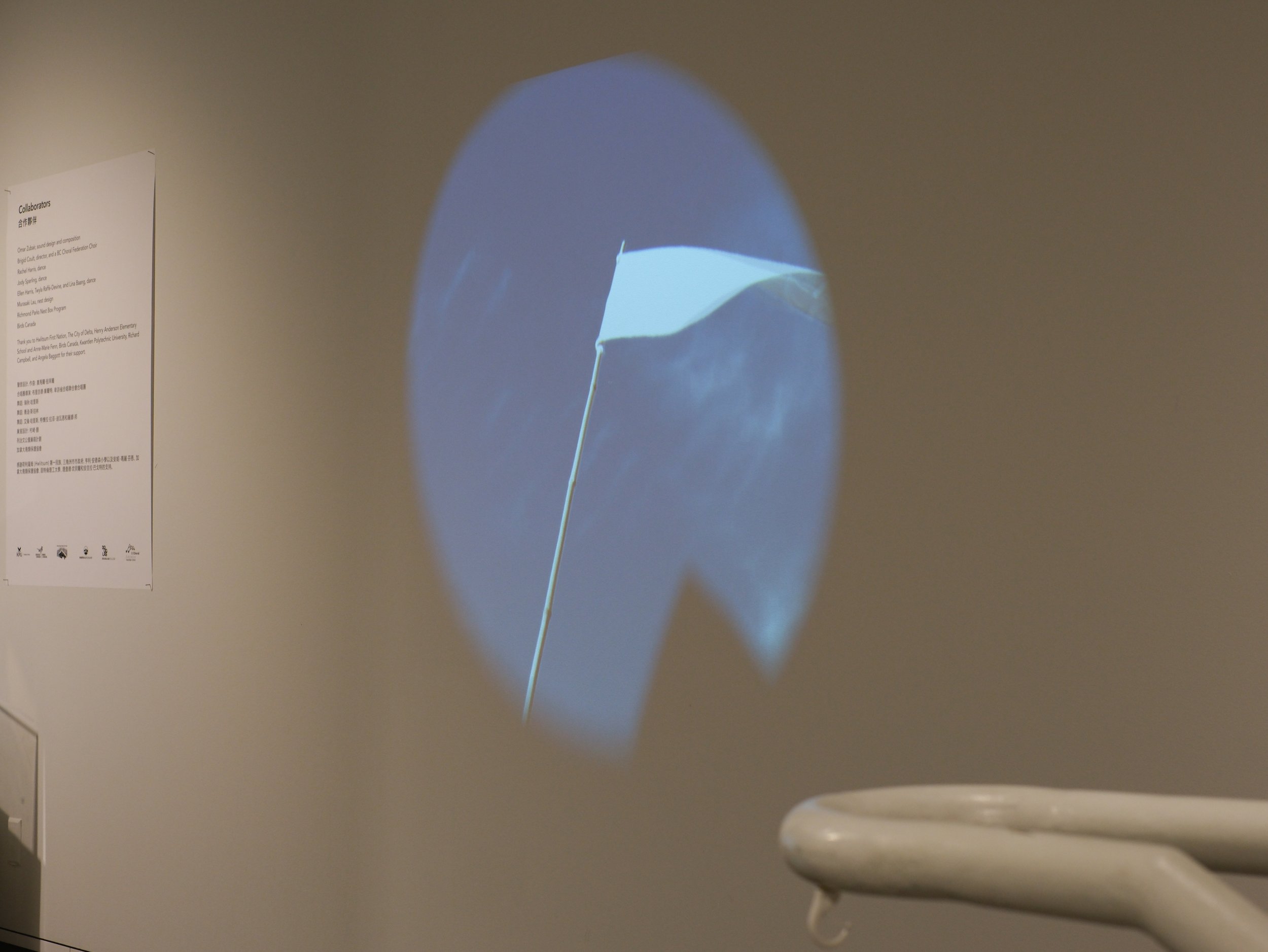 Silvery-Blue opening-100 copy.JPG