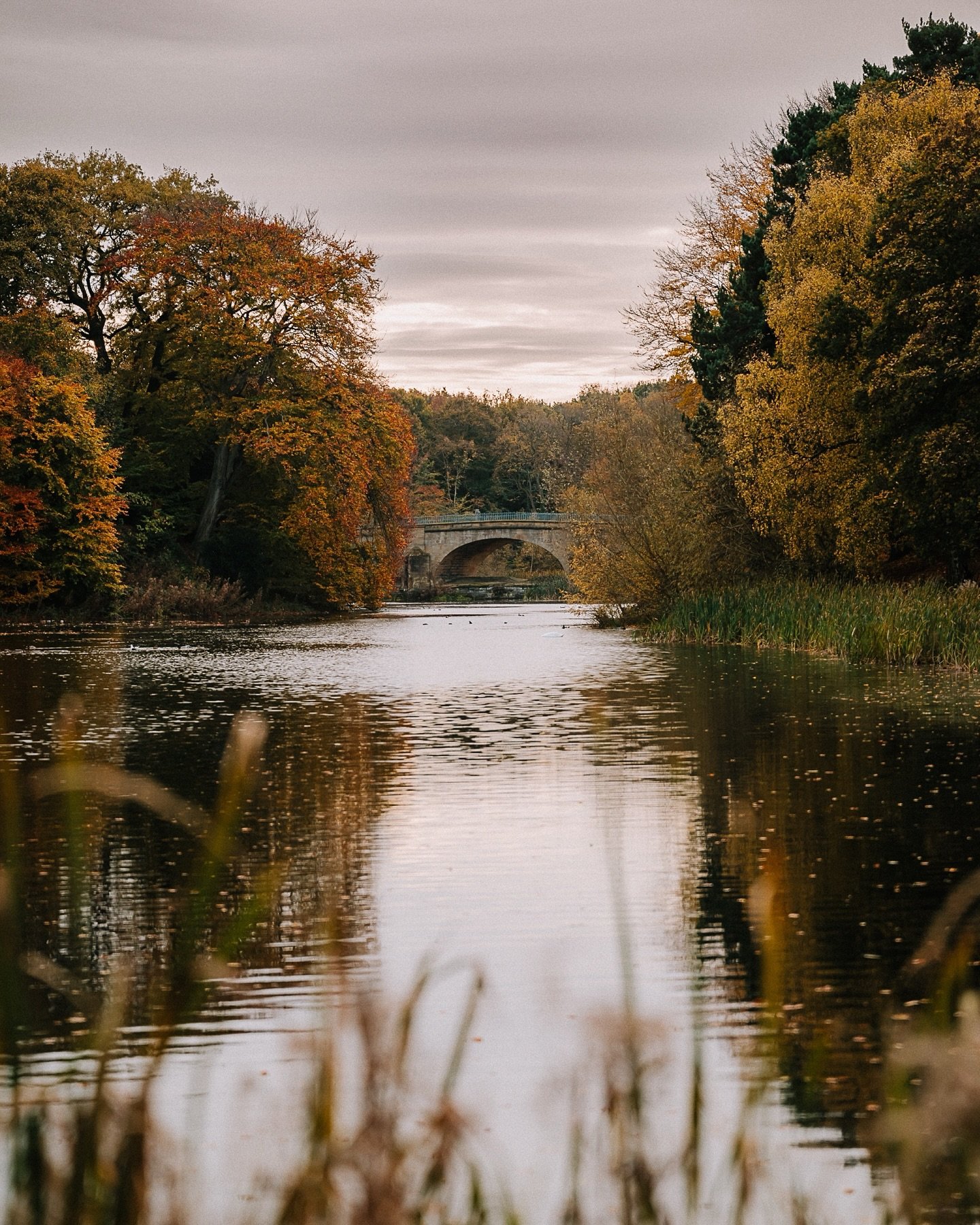 Frames from an autumnal trip to Nostel Priory, West Yorkshire. 🍁

Slow local adventures have been a theme of life this past month as autumn took hold in Yorkshire and my hamstrings healed from an unfortunate re-injury which has kept me away from the