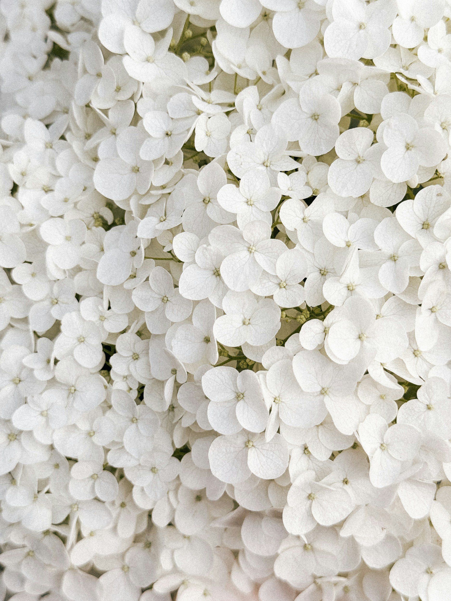 unsplash-image-hrHmItssbeE.jpg