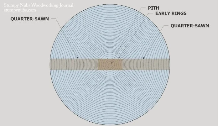 Diagram showing the inner rings of a tree, and then names of eachof the different omponents