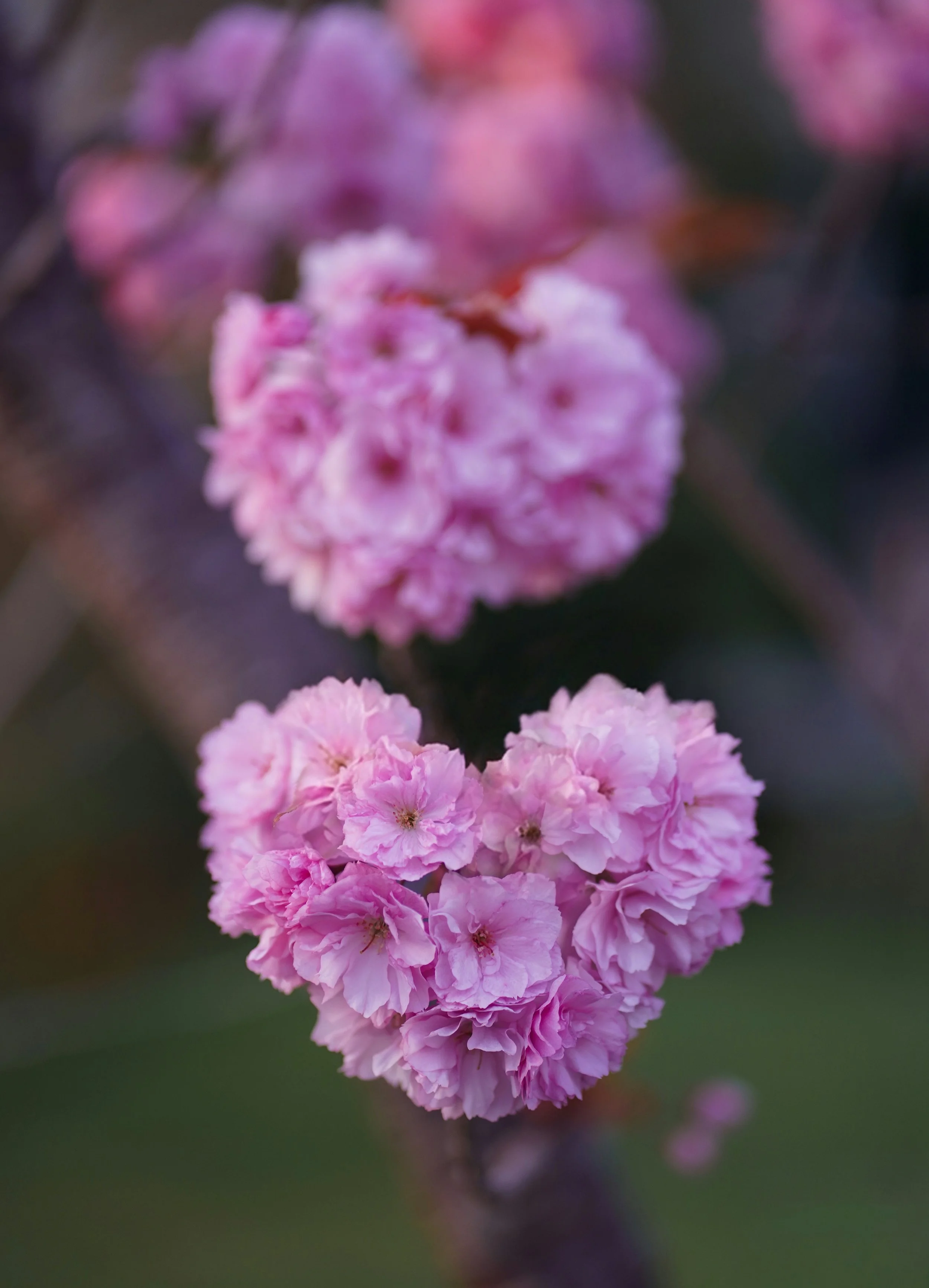 Sponsor a Spot: Pay It Forward