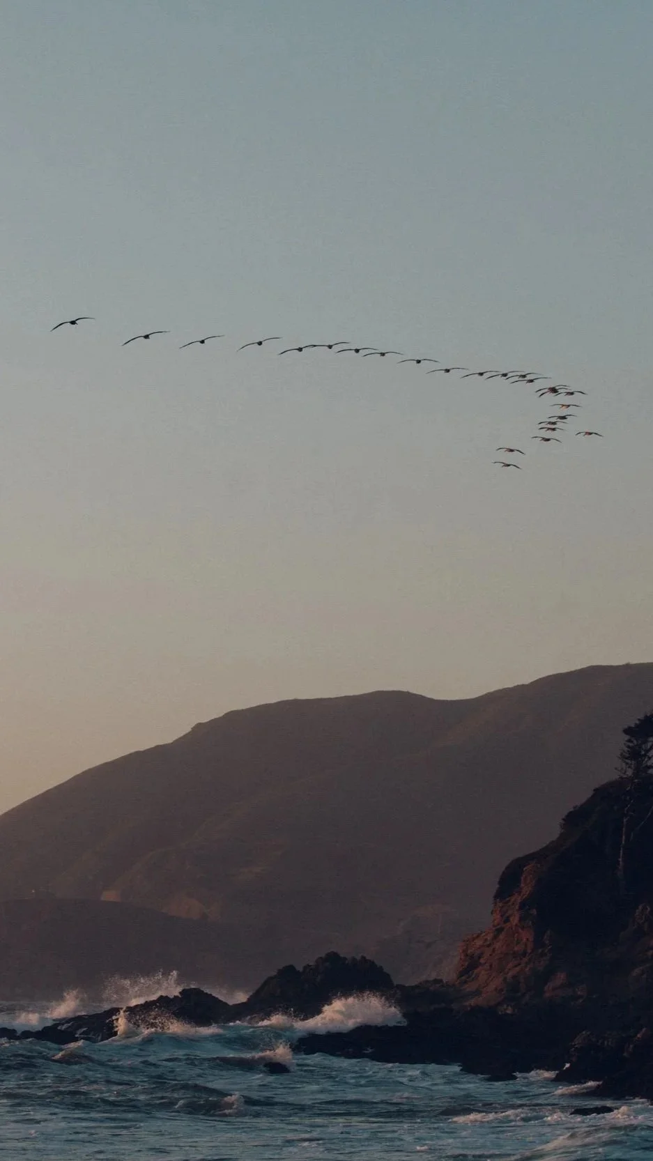 1200-GillianEwing-LWR-57.jpg (Copy)