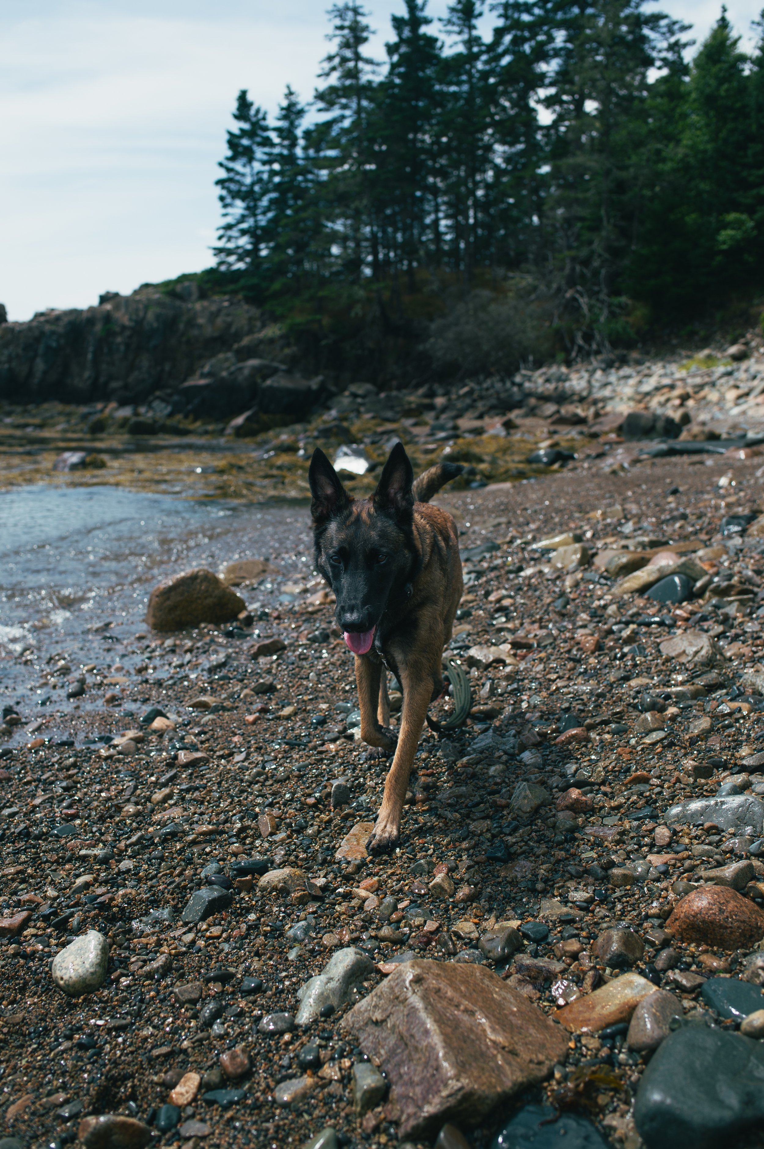 DSC_0320.jpg