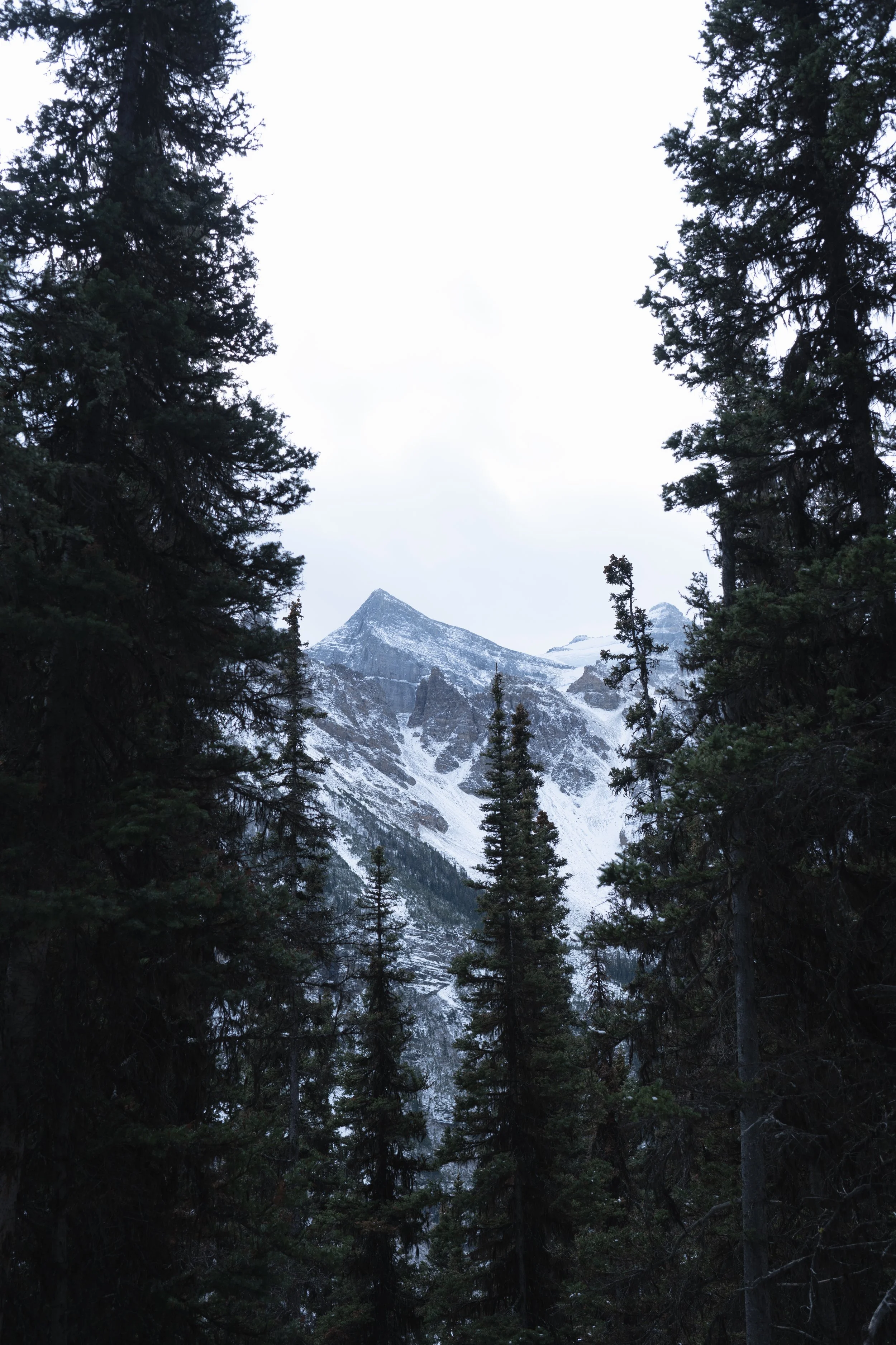 DSC_7288.jpg