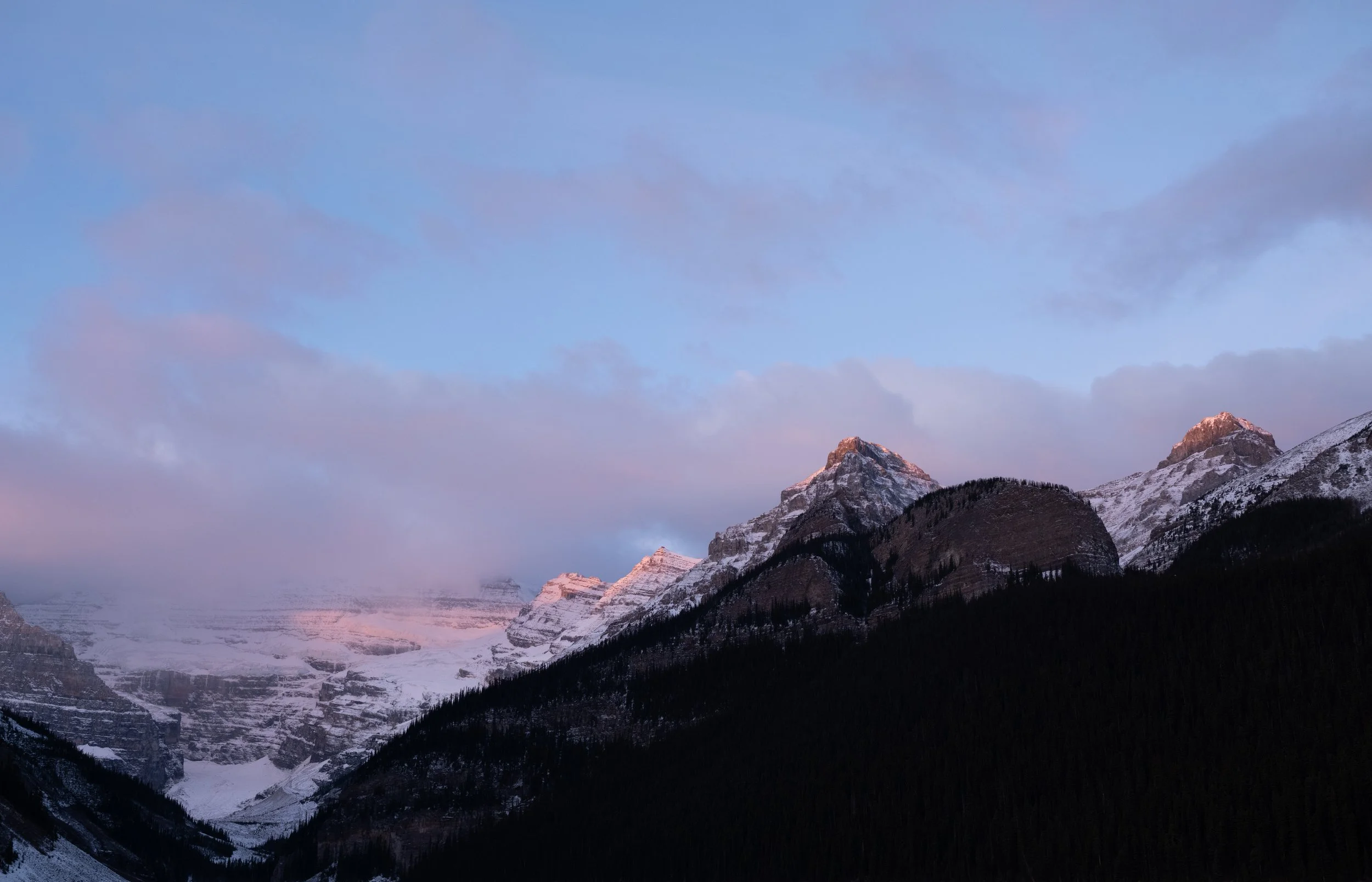 DSC_7239.jpg