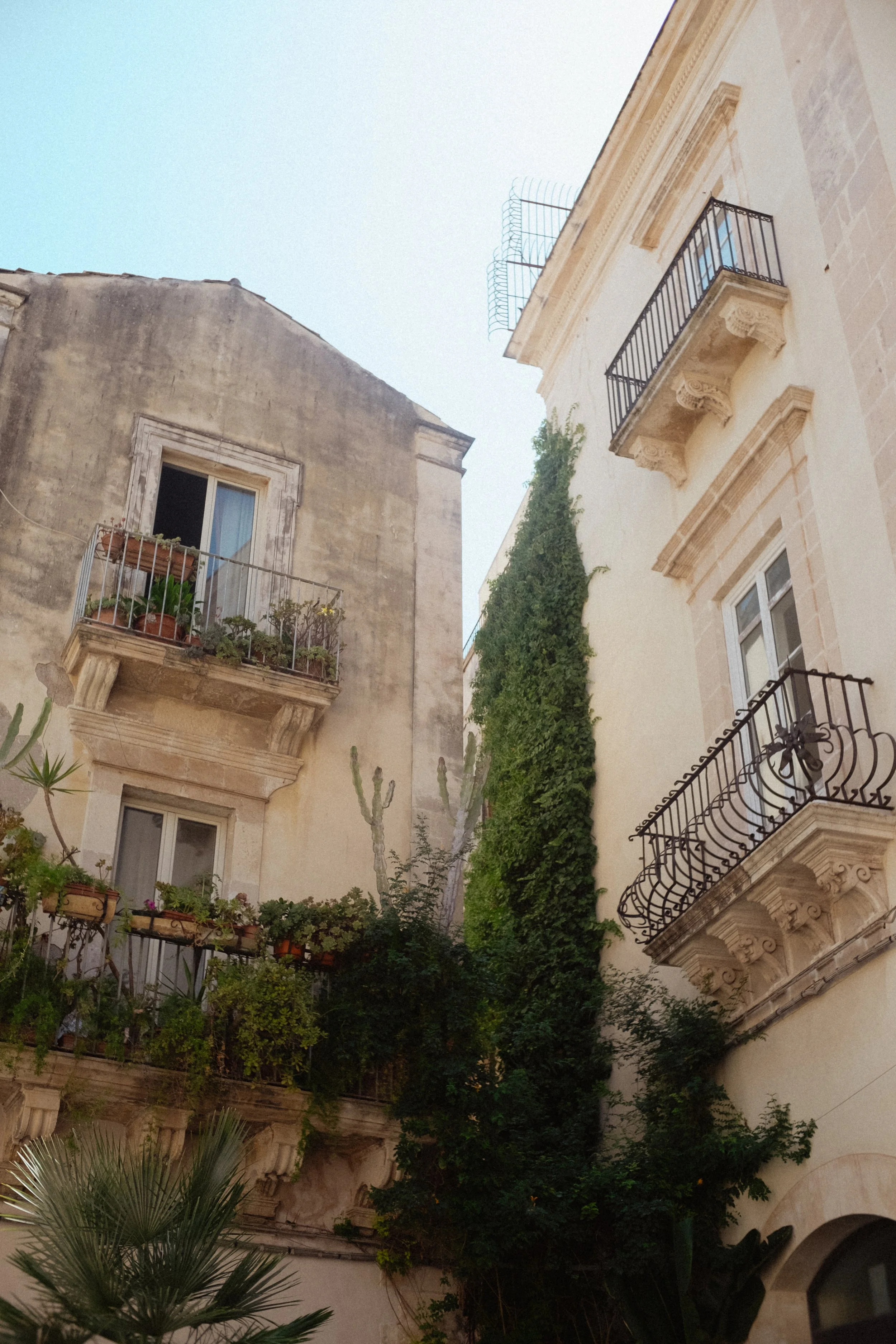DSCF4628.jpg