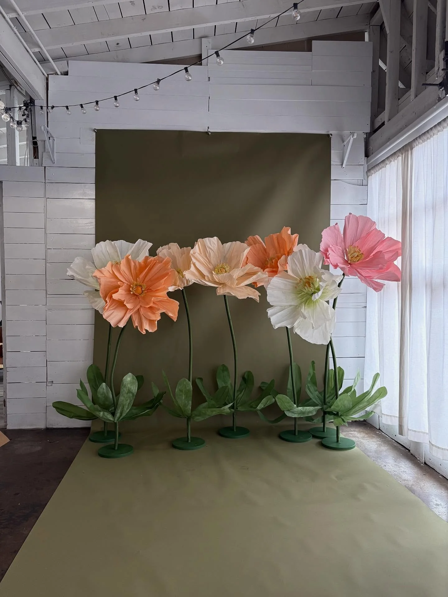 Our first Thrive vendor photoshoot is this Monday!! Yay 📸 

Please remember to show up a couple of minutes early so we can roll right into your time slot while also respecting the business signed up after you. Please wear whatever you feel represent