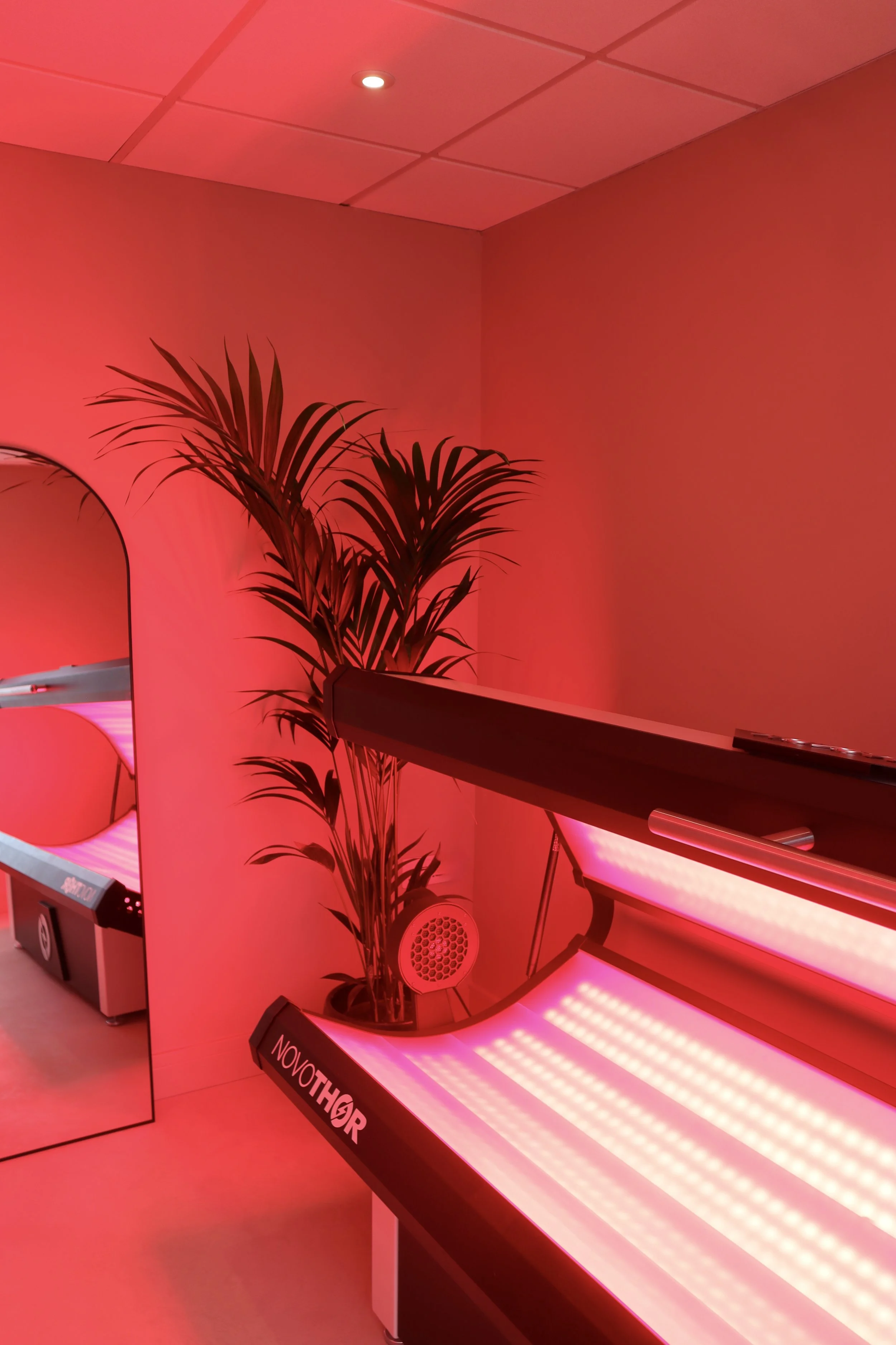 NovoTHOR Red Light Bed