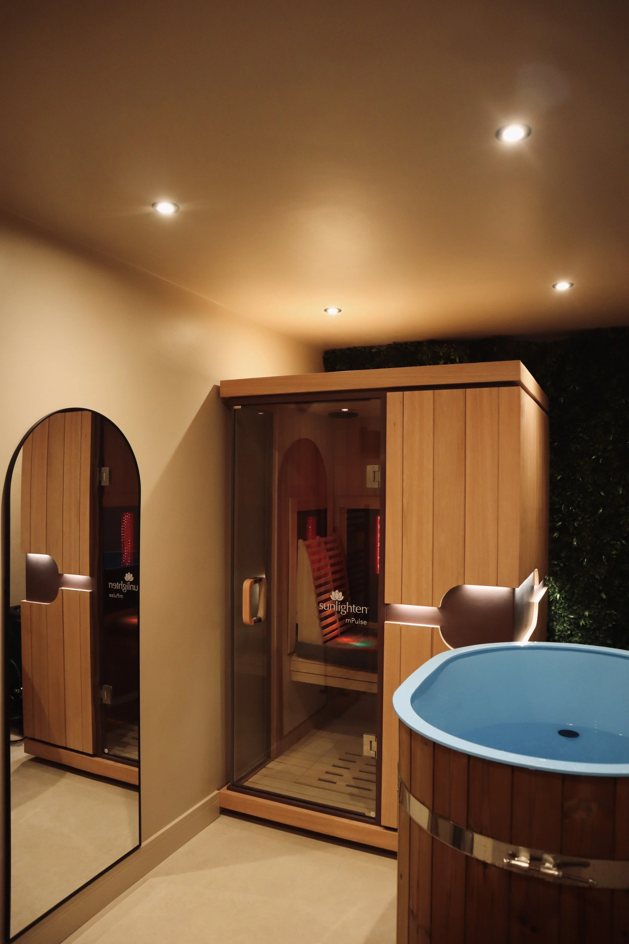 Contrast Therapy Room