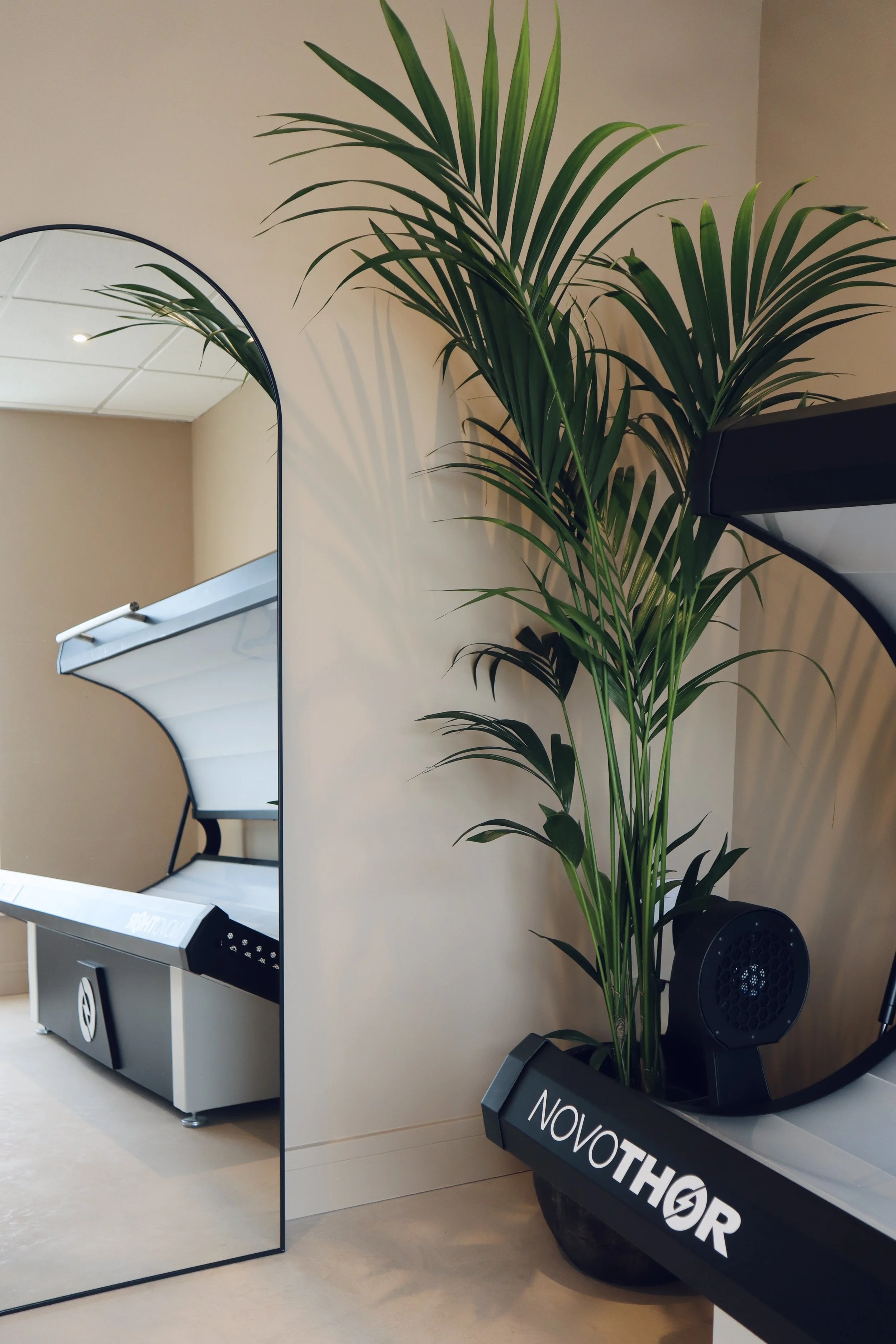 NovoTHOR red light therapy bed inside ReGen Rooms treatment room with mirror and indoor plant decor.