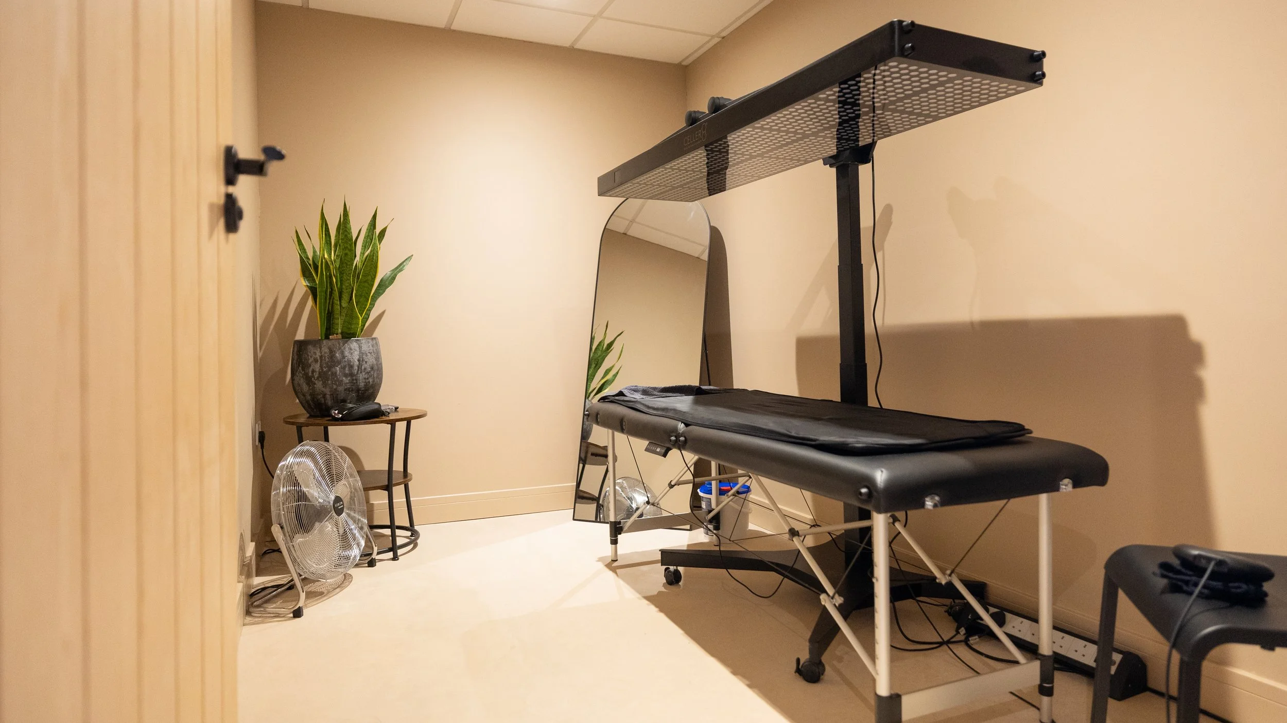 PEMF Therapy Room