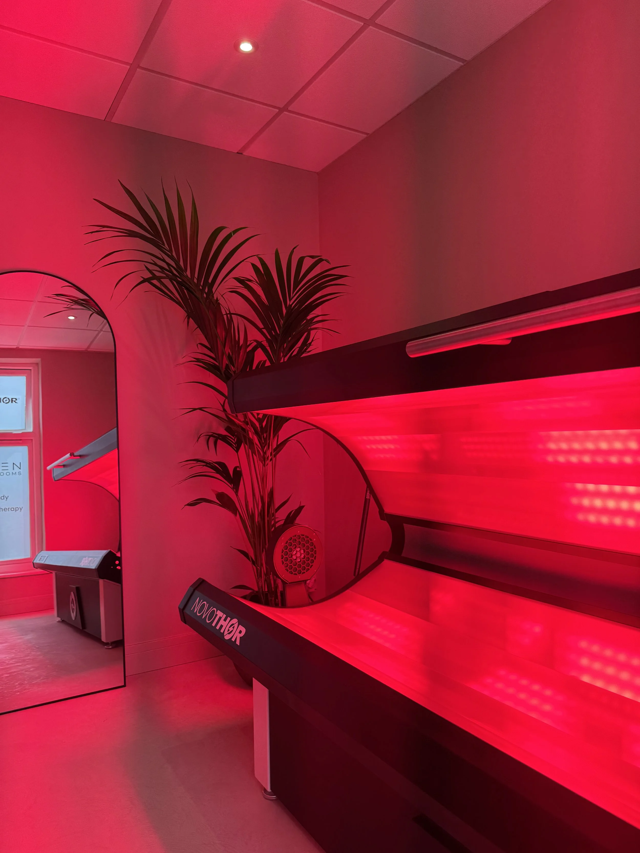 NovoTHOR red light therapy bed in a calm clinical treatment room at ReGen Rooms