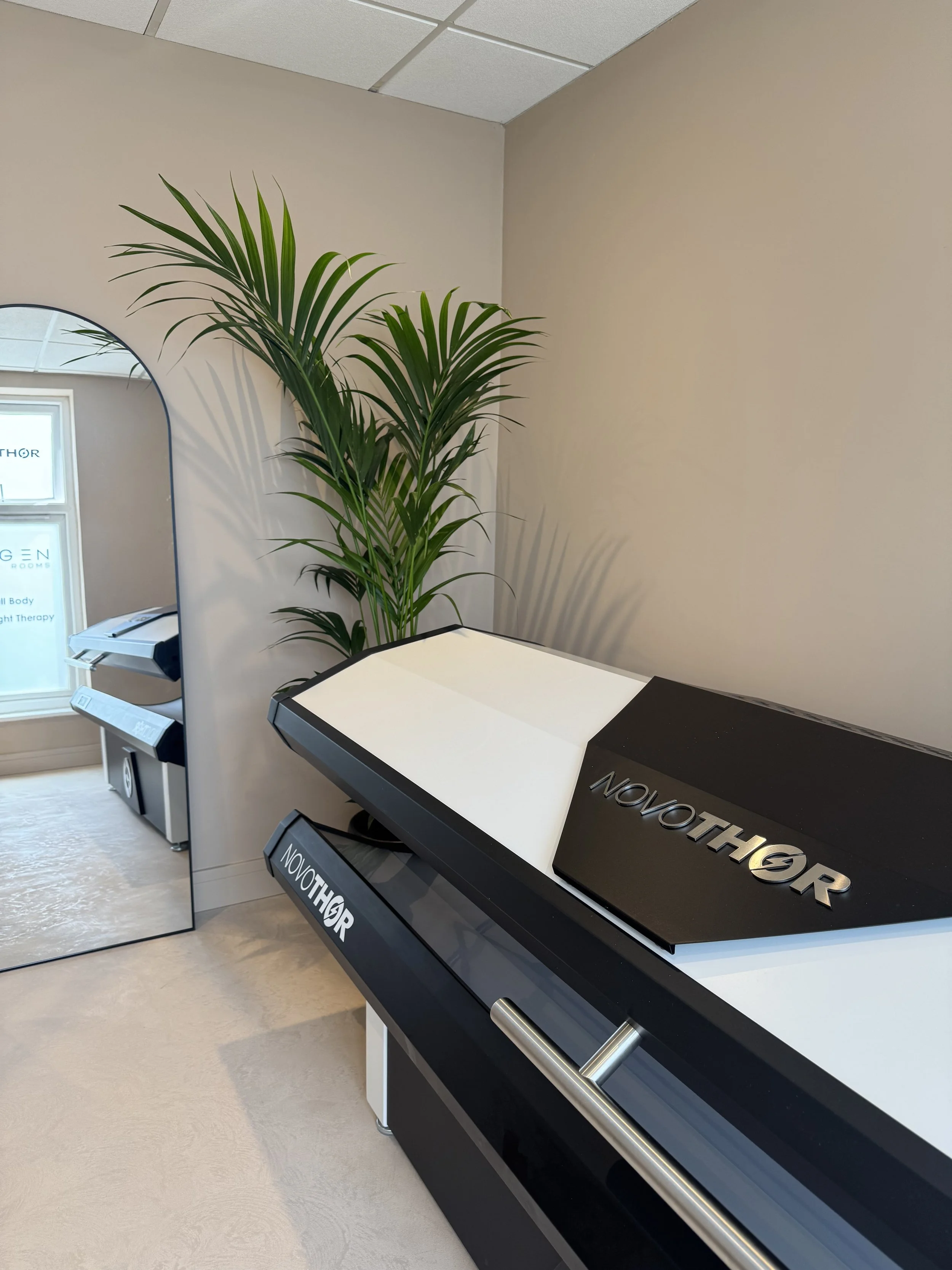 A NovoTHOR XL red light therapy bed with a green plant and mirror behind in on a neutral background