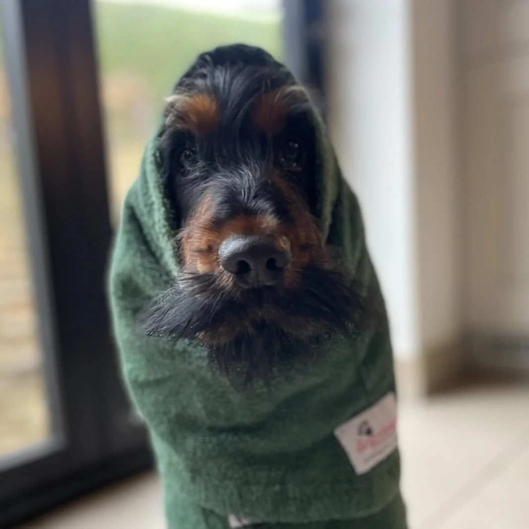 Does my moustache look big in this? Post run robe snuggles for Xiong-Xiong. It&rsquo;s a dog&rsquo;s life
.
.
.
.
#dogwalking #dogwalkingchelsea #dogwalkingsw10 #dogwalkingservices #dogwalkinglondon