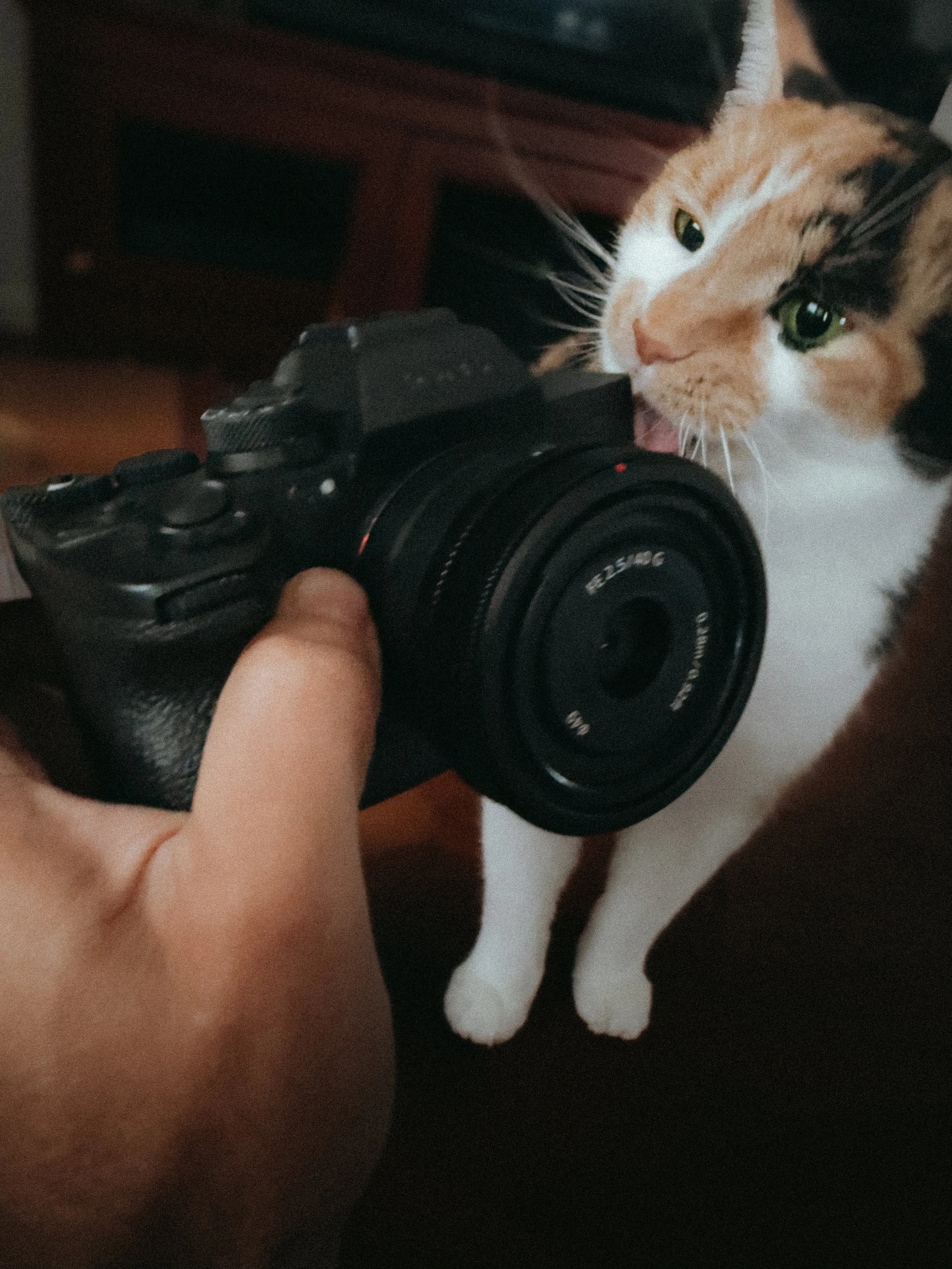 I Don’t Want Another Camera. I Want a Life.