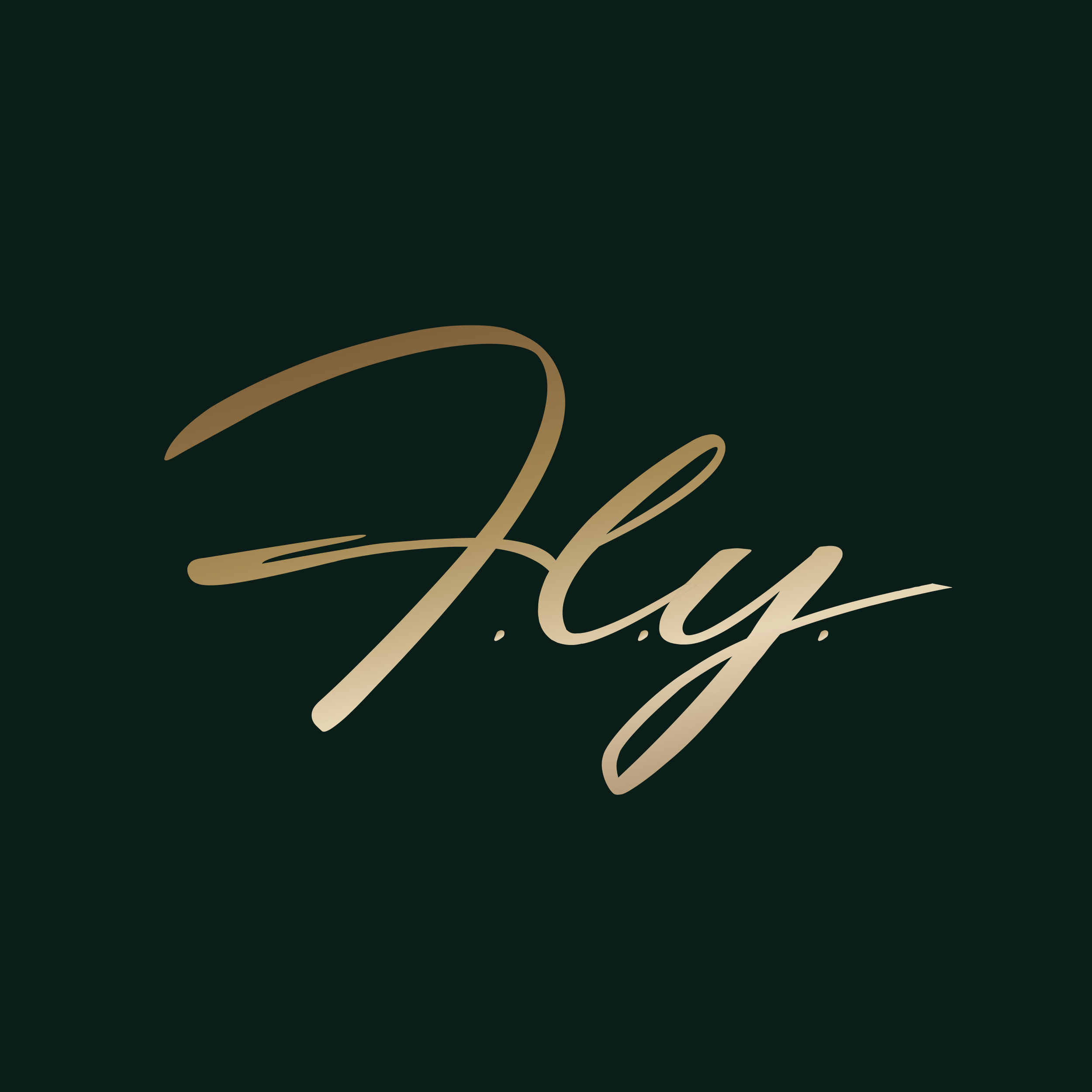 FLY_MasterLogo.png