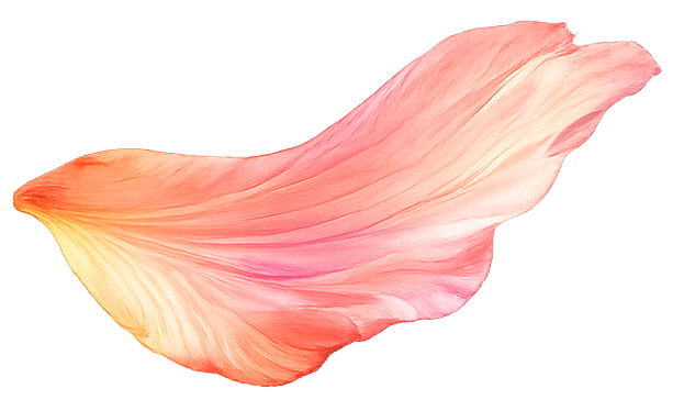 Floating Petal